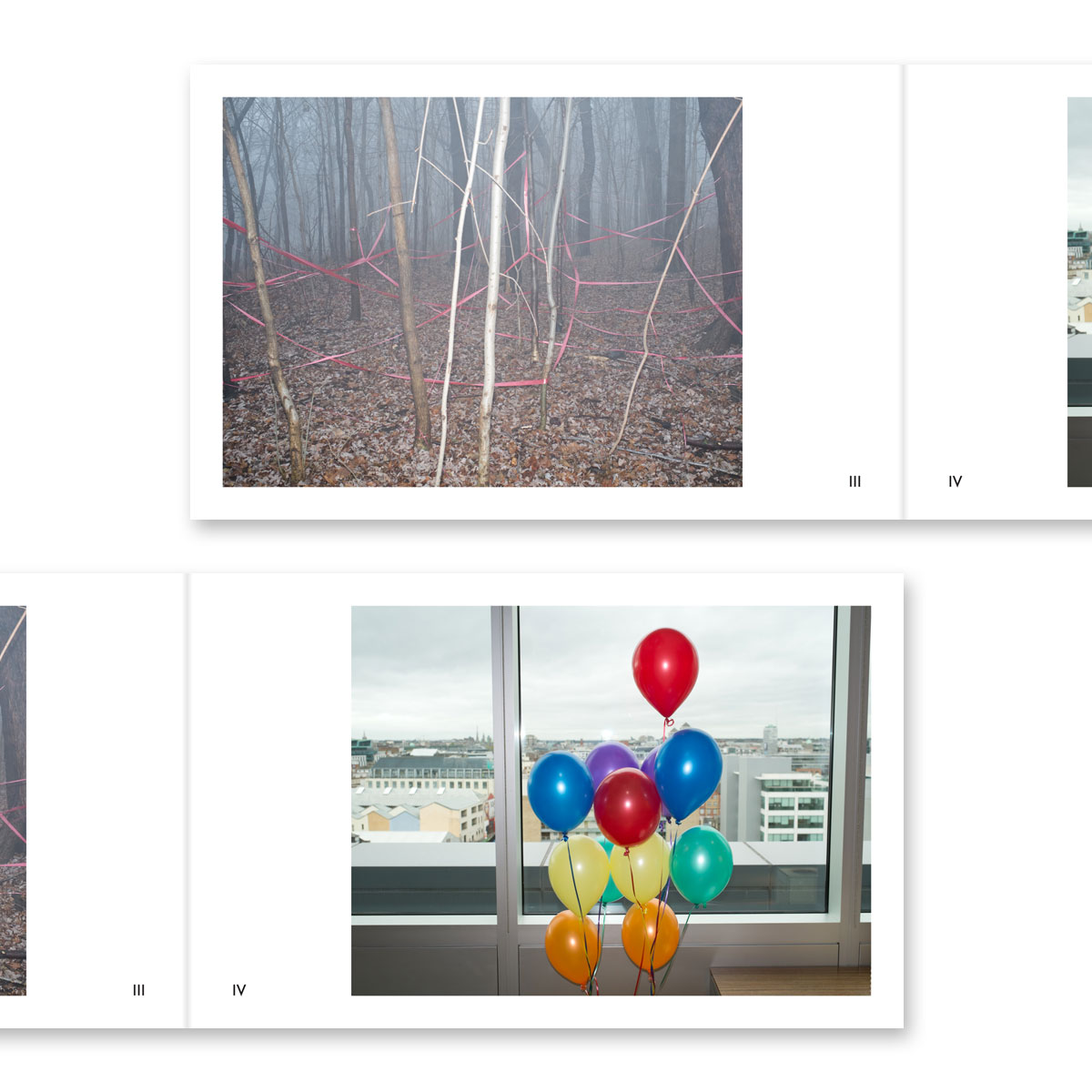 Volume 12 – Shane Lynam - Image 3