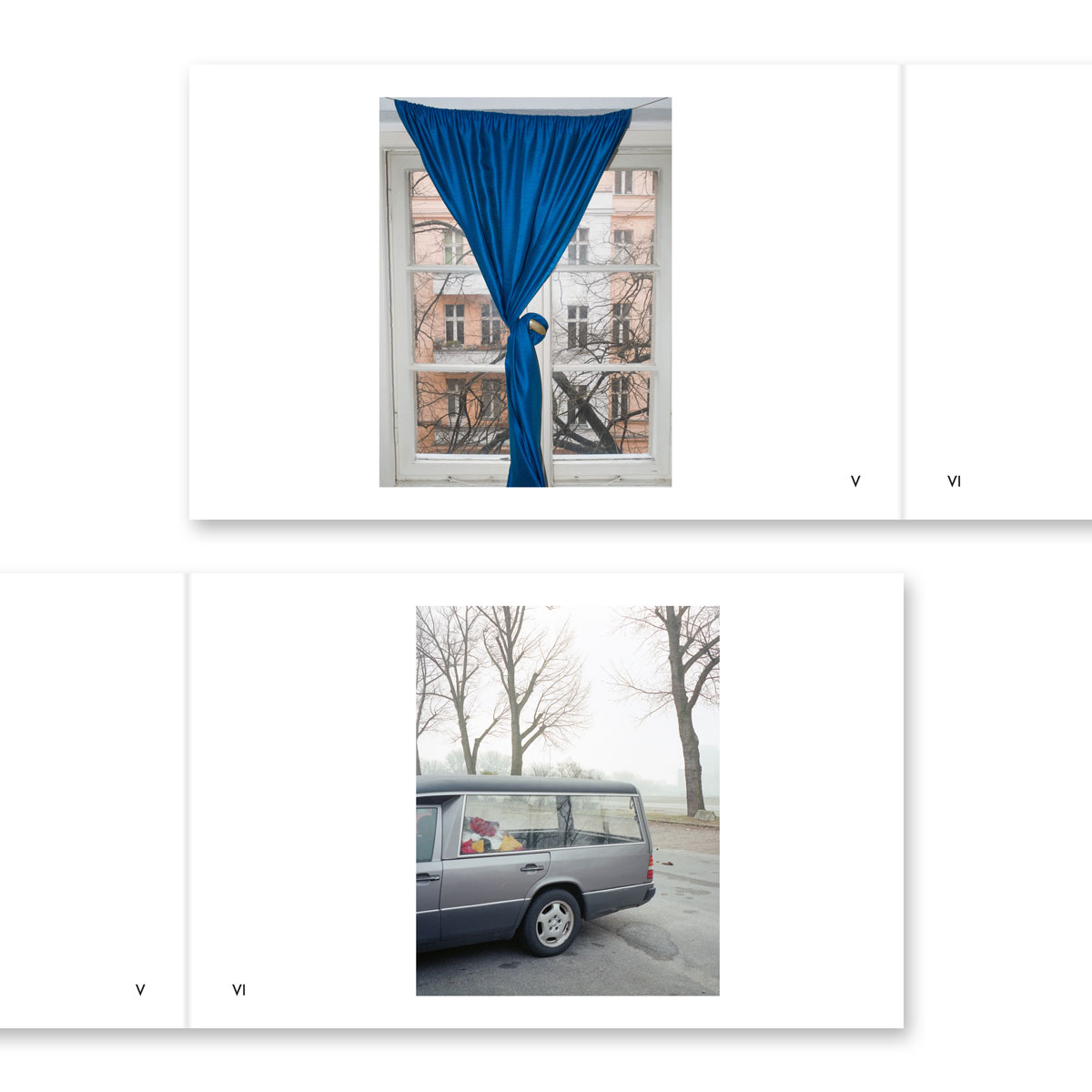 Volume 12 – Shane Lynam - Image 4