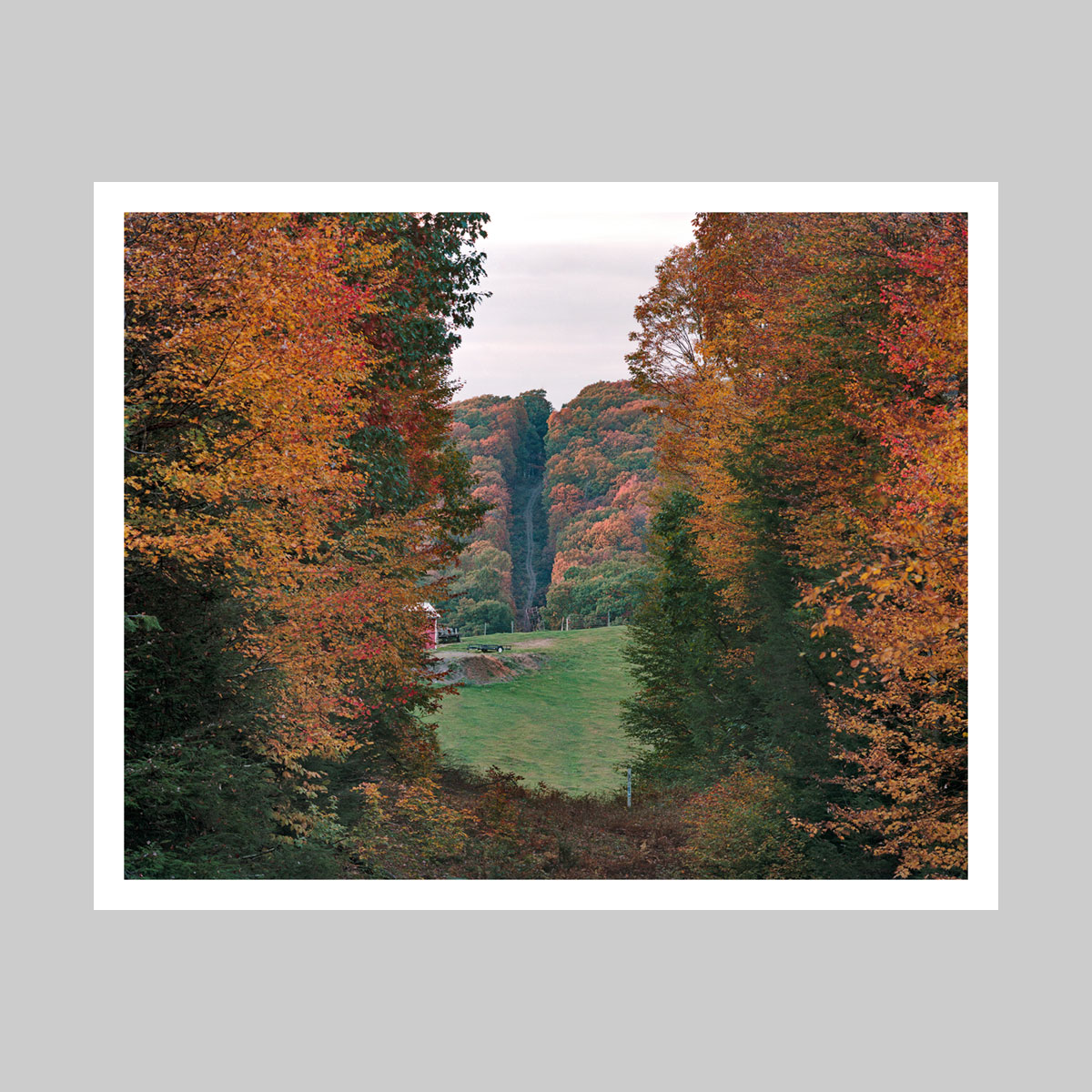 John Sanderson - National Character Print 21