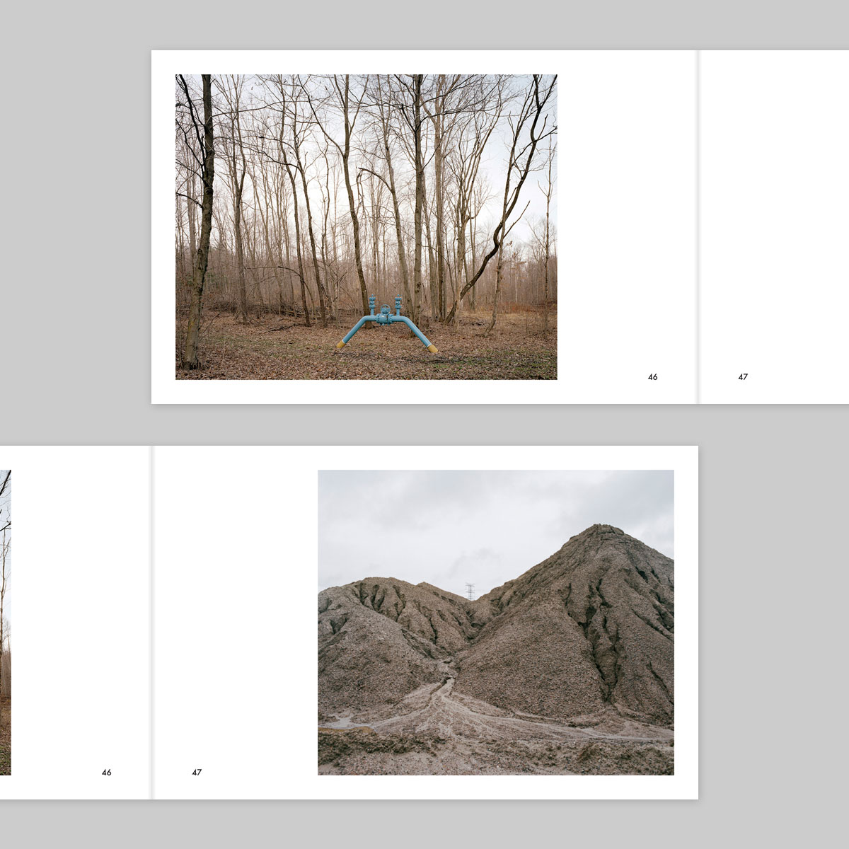 The Vernacular of Landscape - Image 25