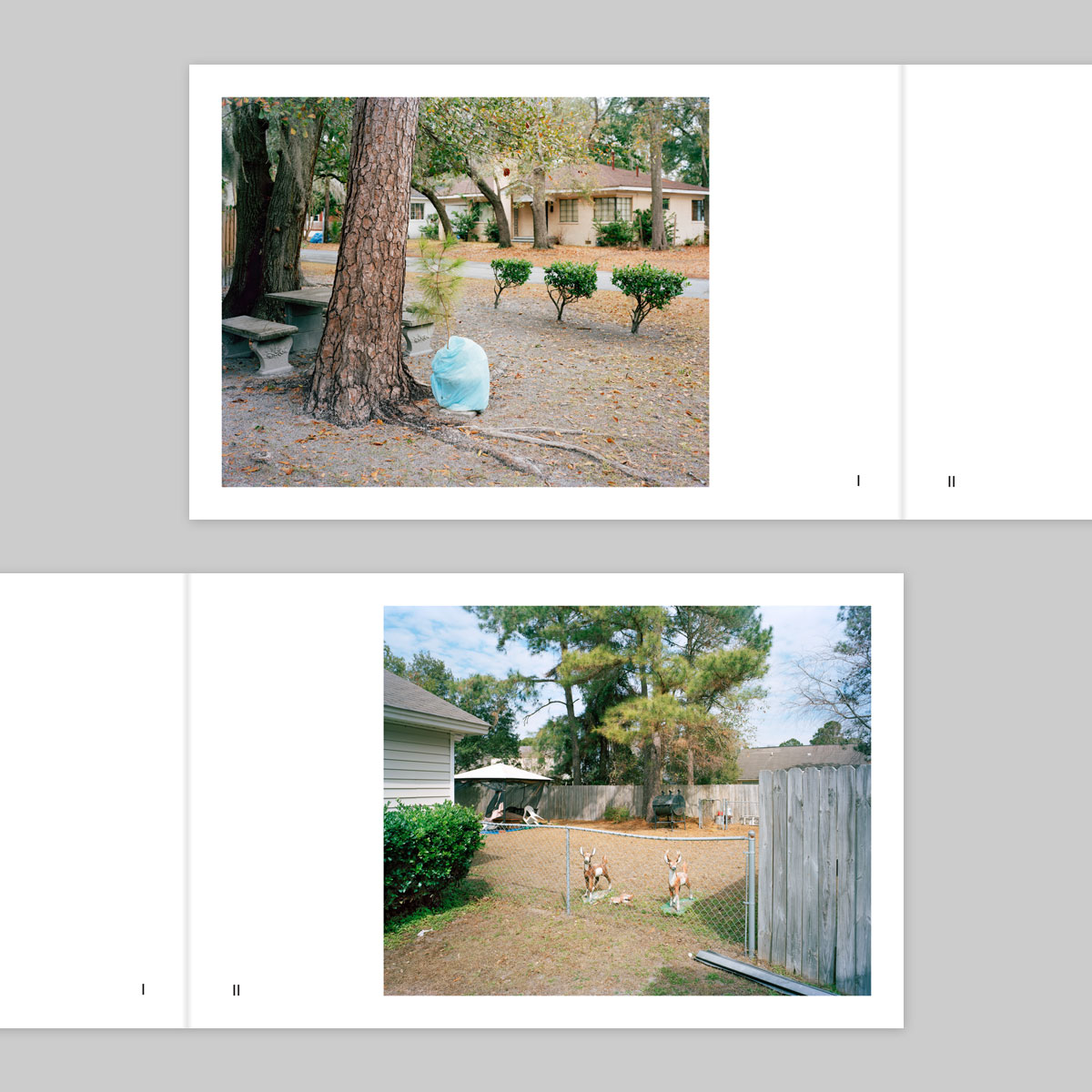 Volume 65 – Daniel George - Image 2