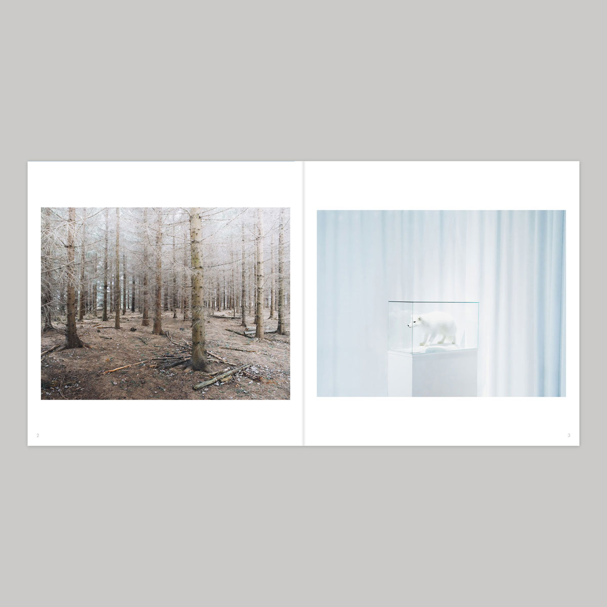Obscura Land Volume 2: Subjectively Objective - Image 16