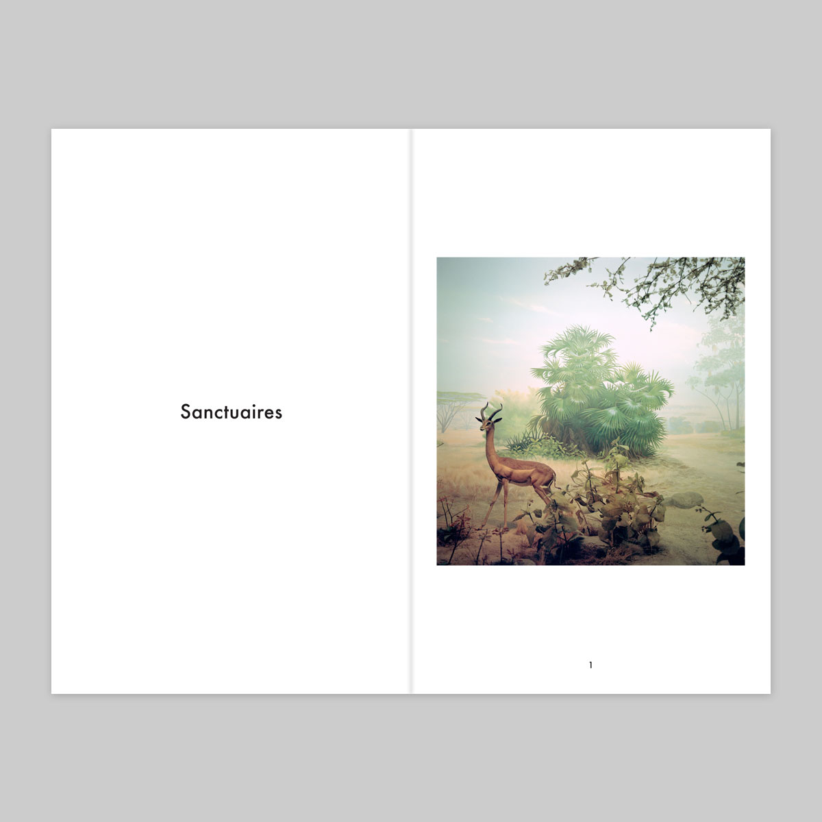 Issue 16 – Fabien Fourcaud - Image 2