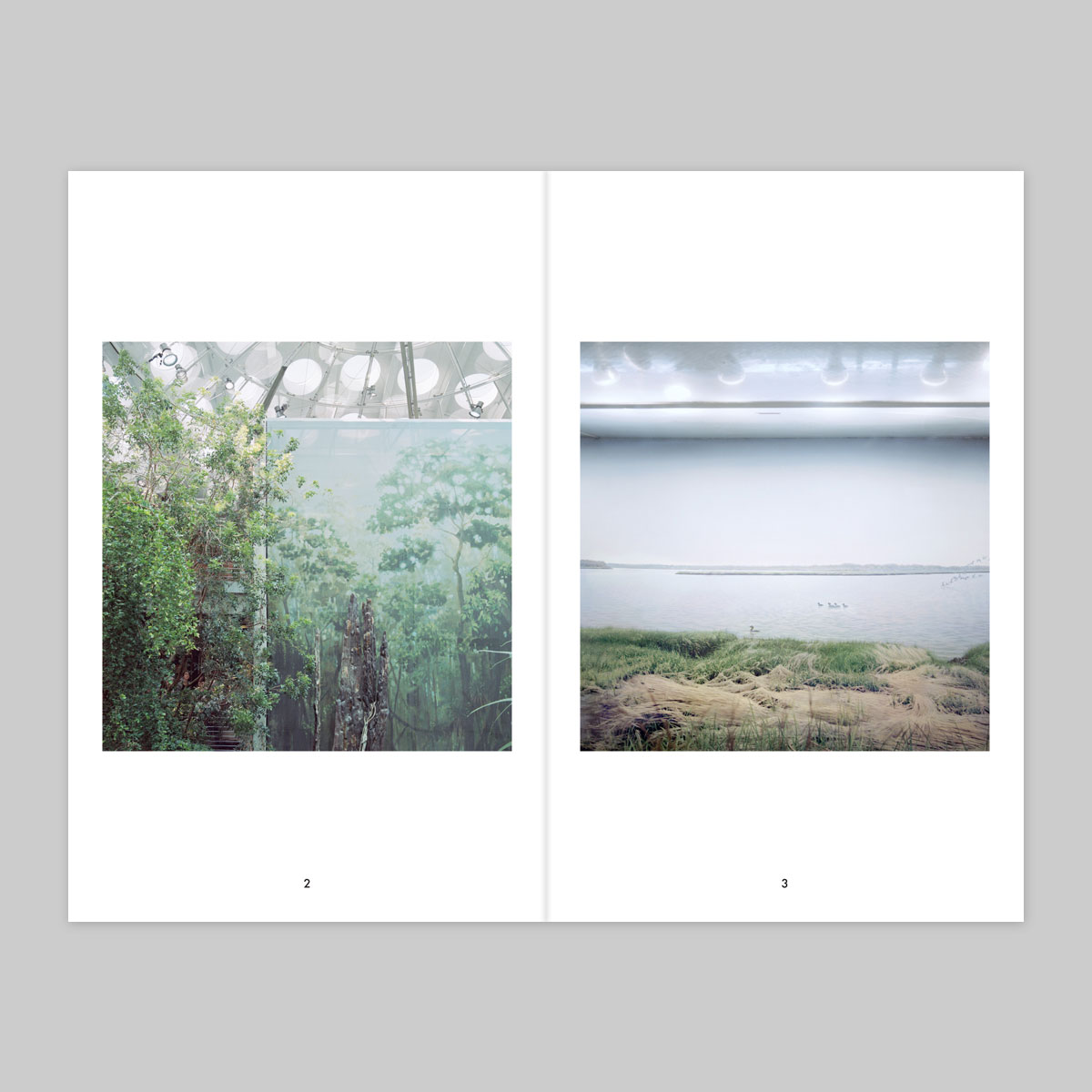 Issue 16 – Fabien Fourcaud - Image 3