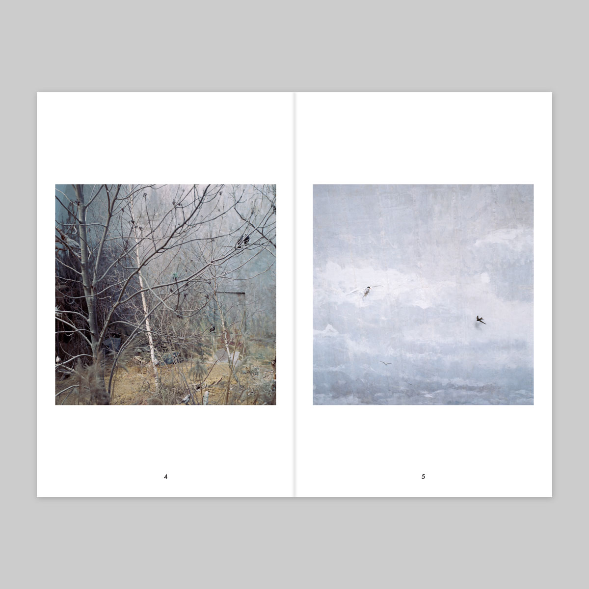 Issue 16 – Fabien Fourcaud - Image 4