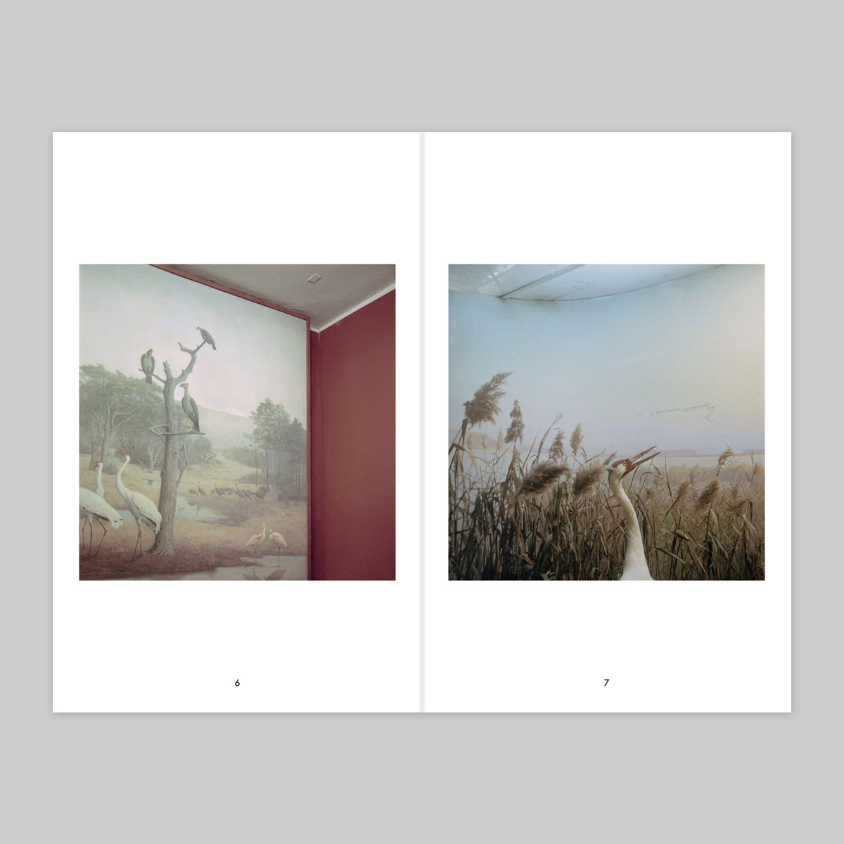 Issue 16 – Fabien Fourcaud - Image 5