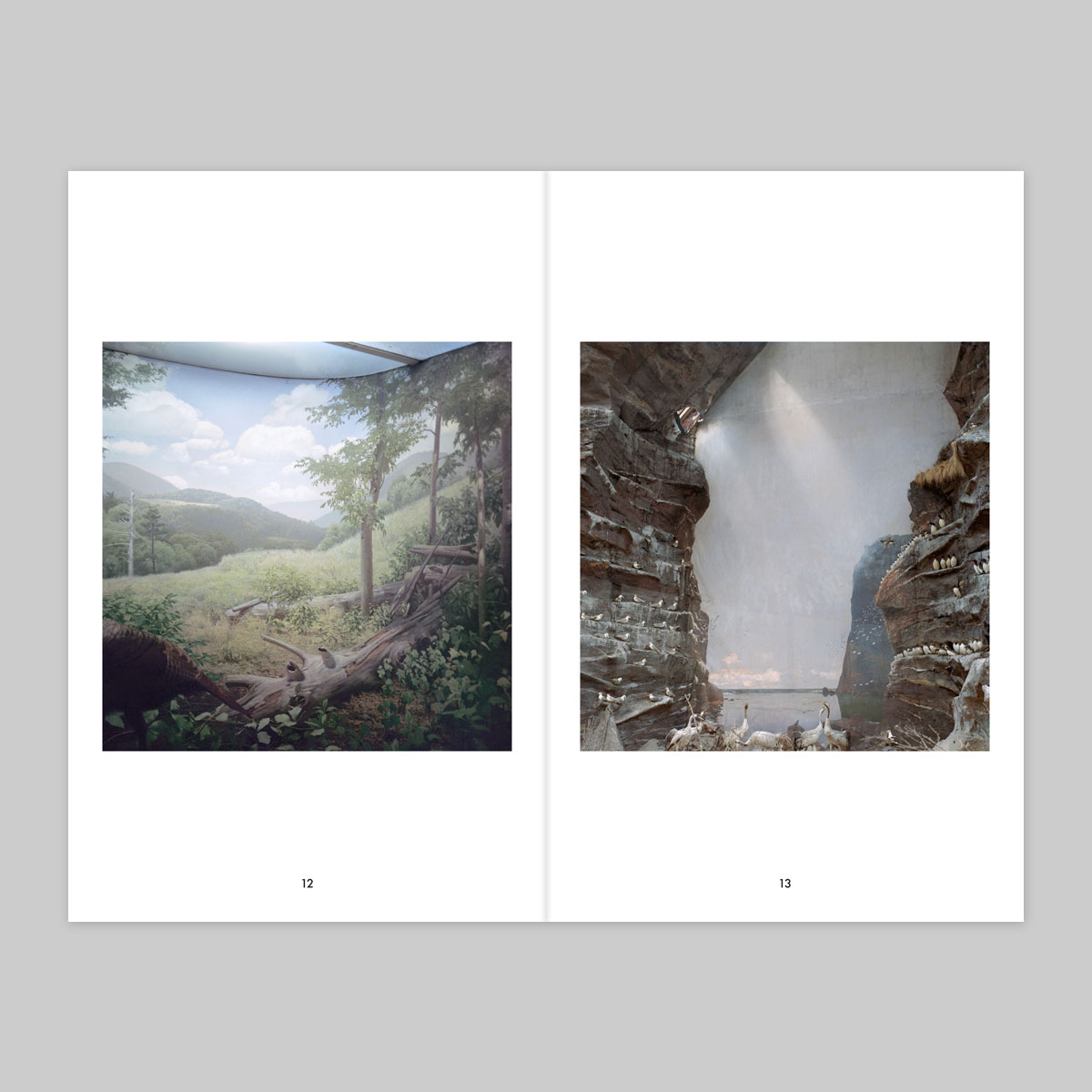Issue 16 – Fabien Fourcaud - Image 8