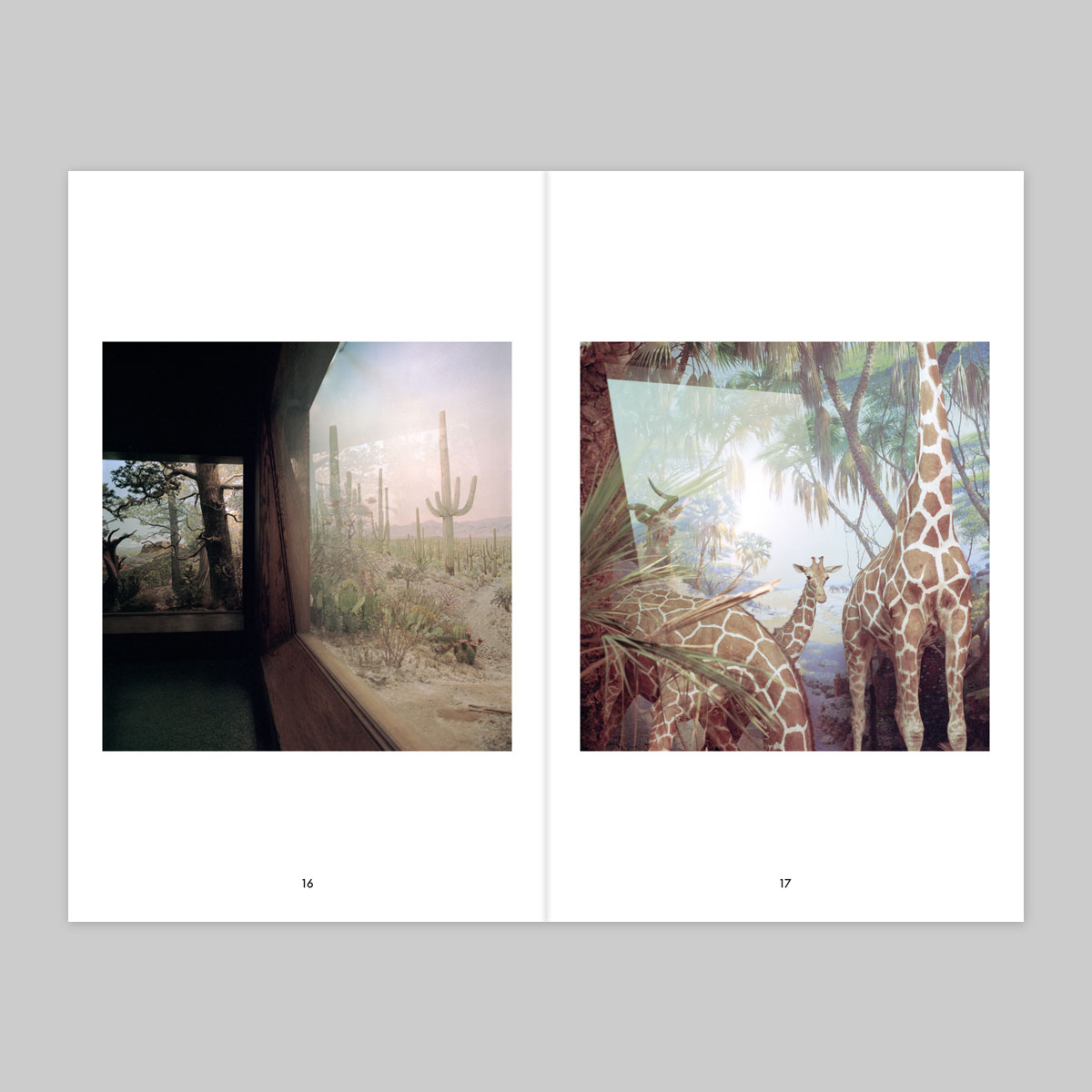 Issue 16 – Fabien Fourcaud - Image 10