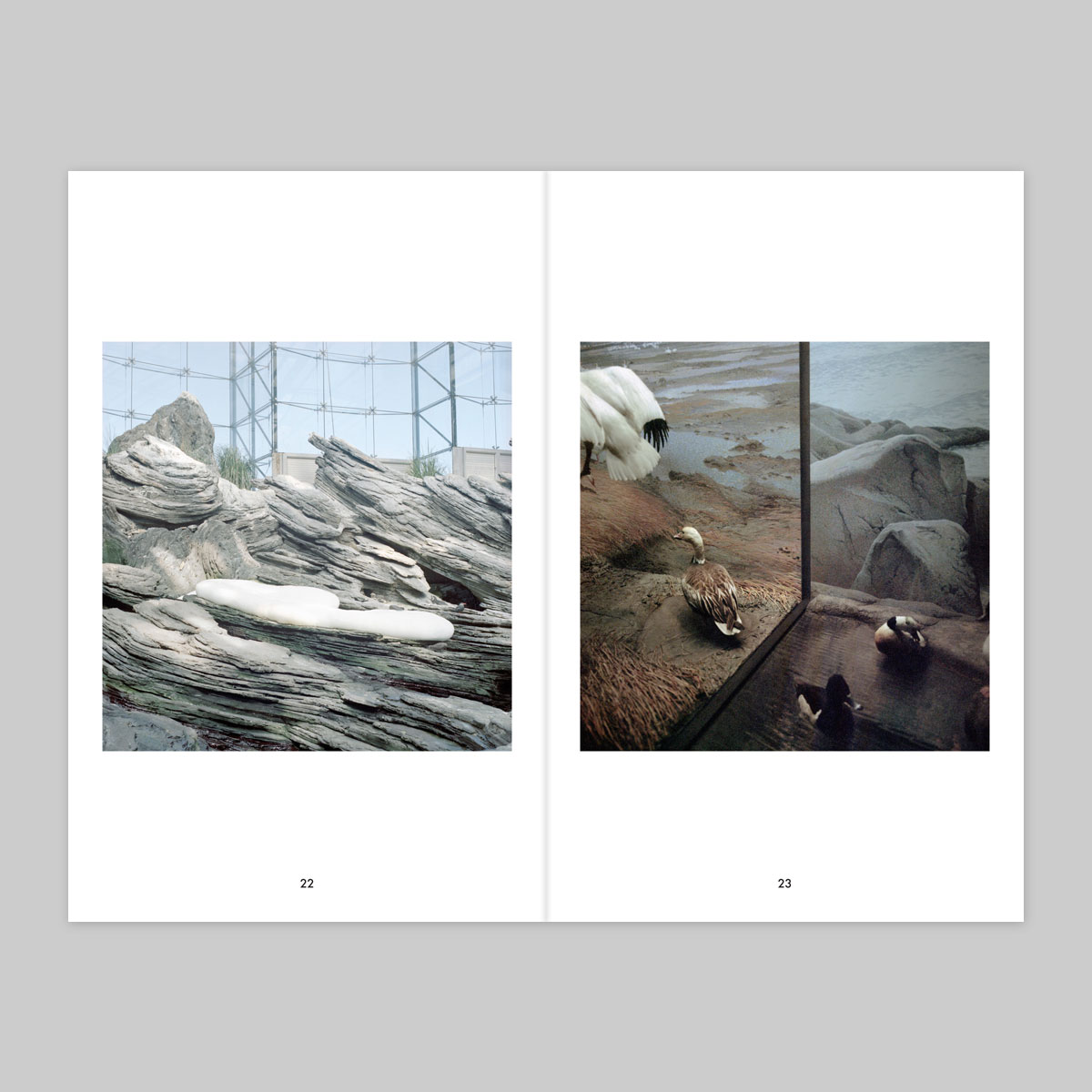 Issue 16 – Fabien Fourcaud - Image 13