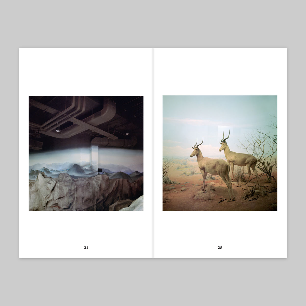 Issue 16 – Fabien Fourcaud - Image 14