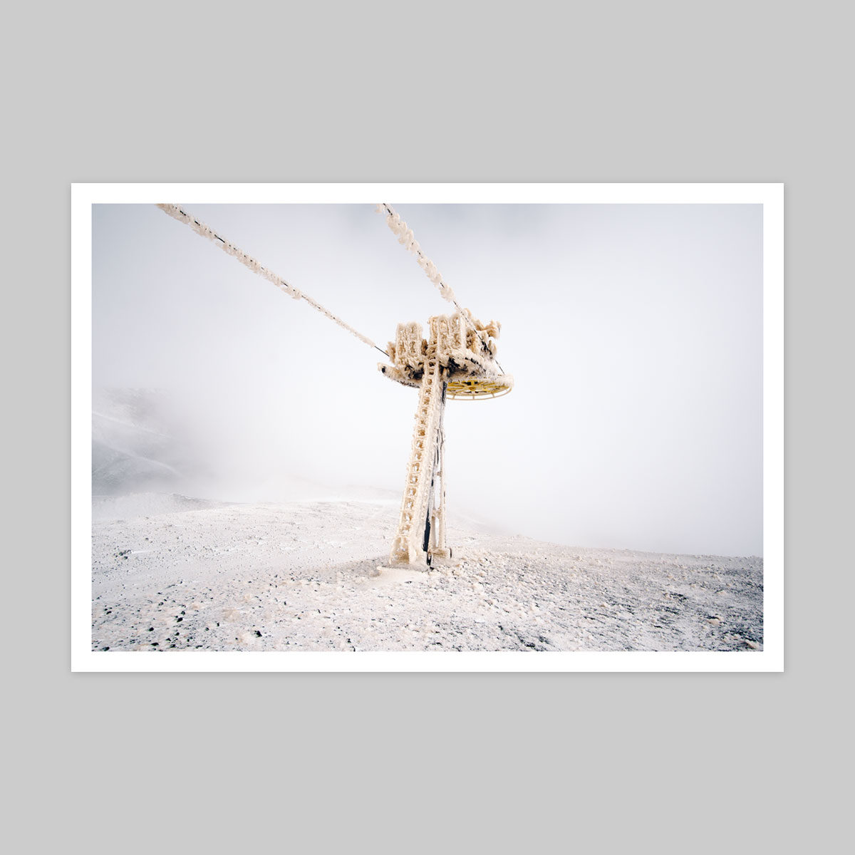 Irene Tondelli -  Print