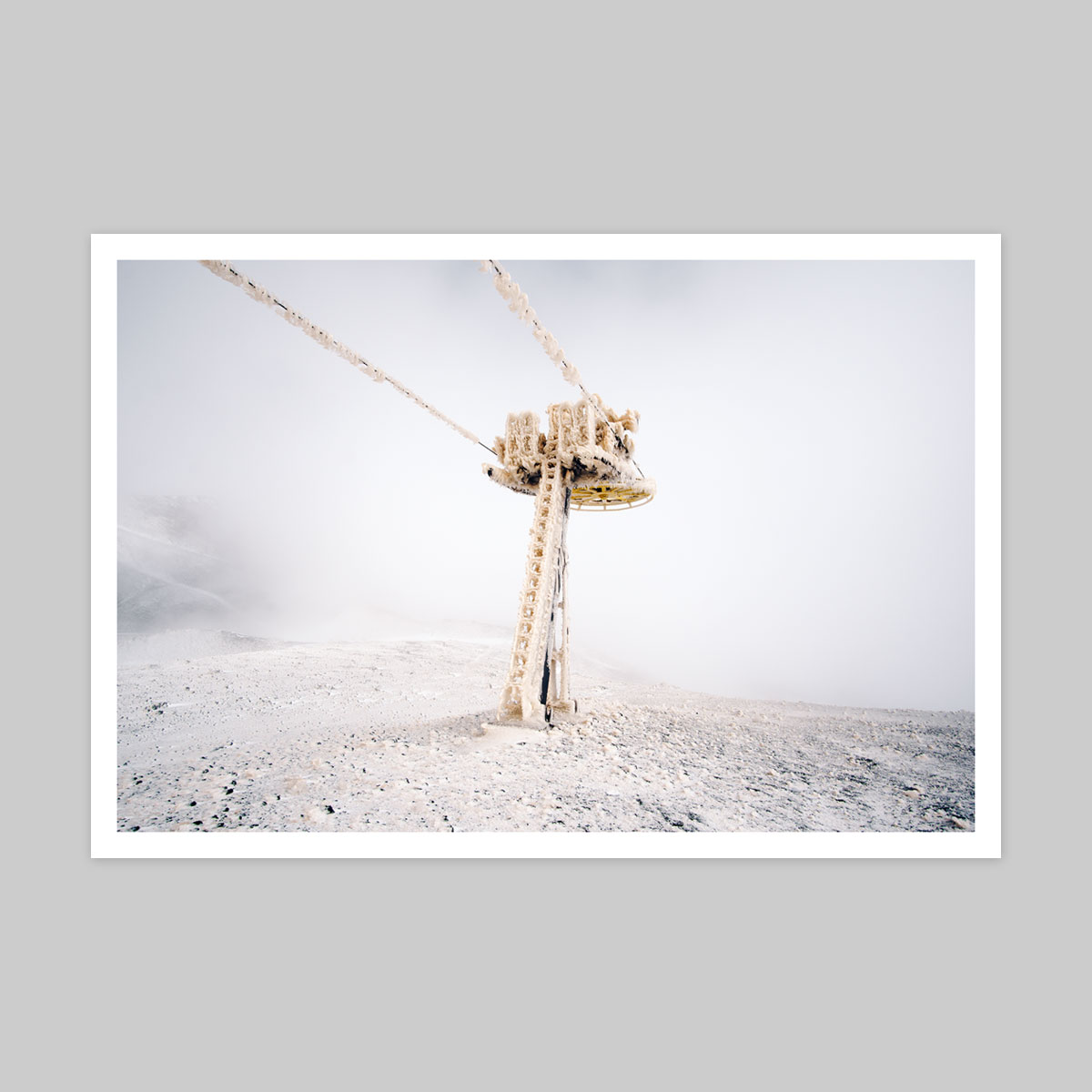 Irene Tondelli - Print