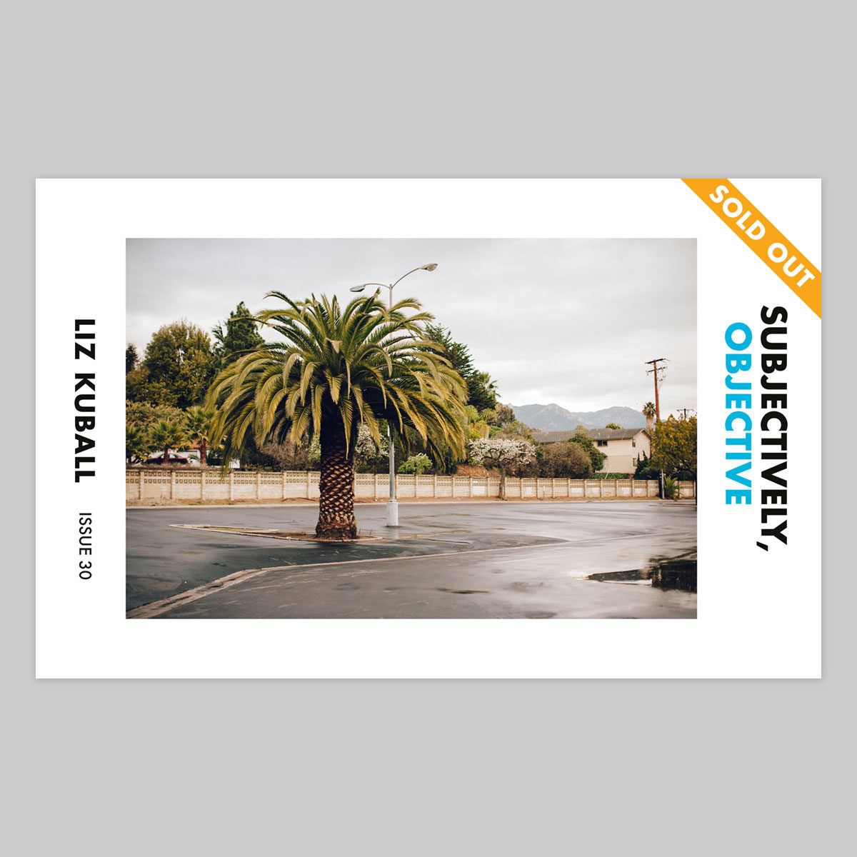 Issue 30 – Liz Kuball