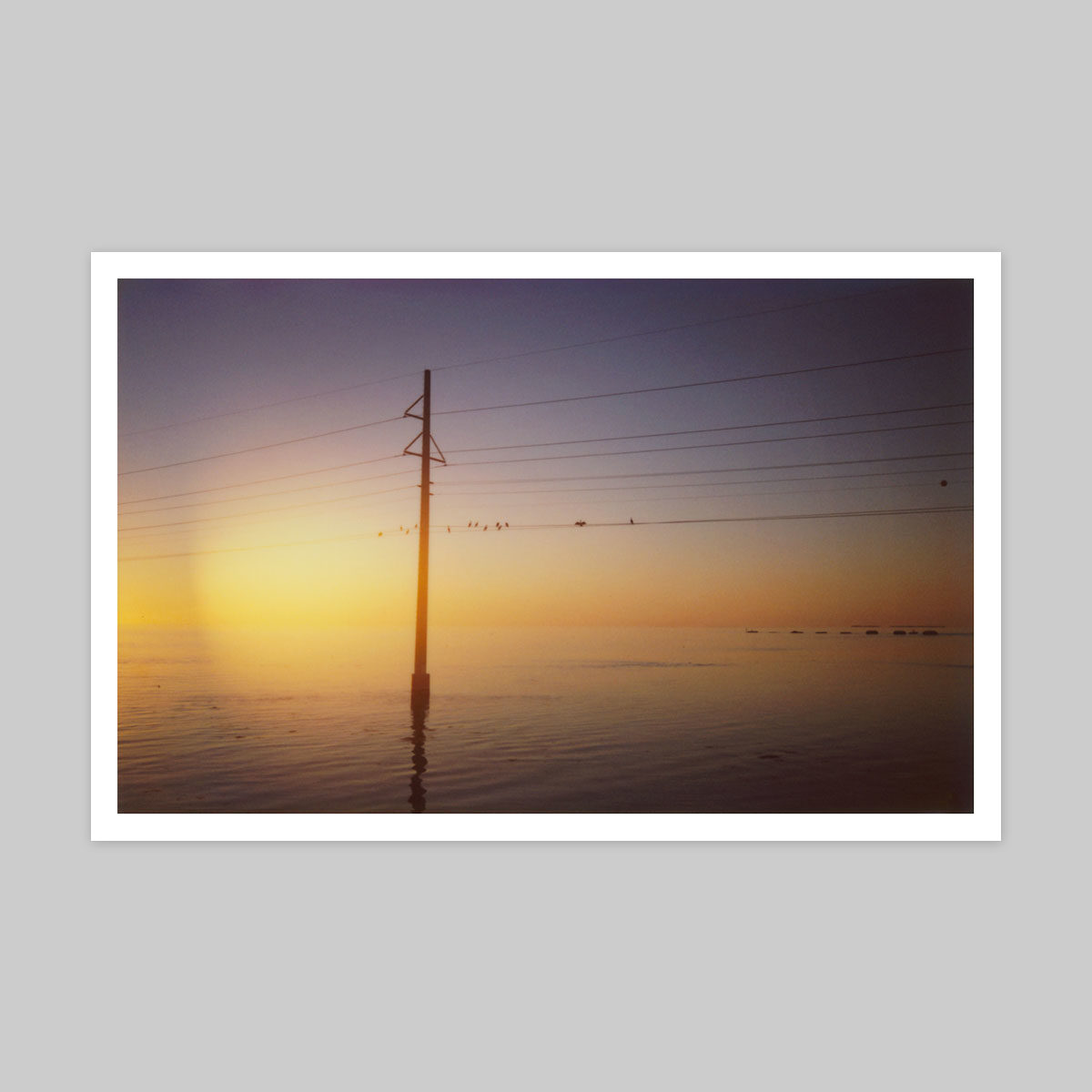 Noah Waldeck - Instax Print 4