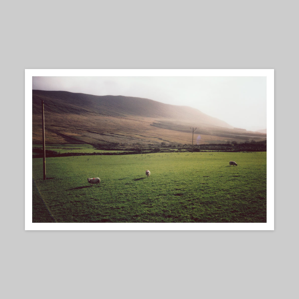 Noah Waldeck - Instax Print 14