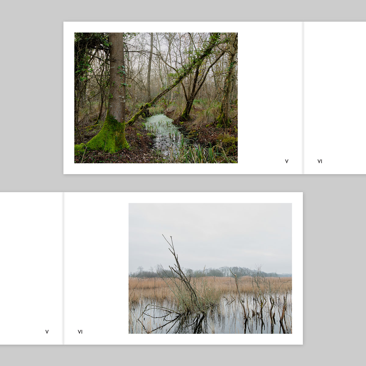 Volume 135 – Ian Gabaldoni - Image 4