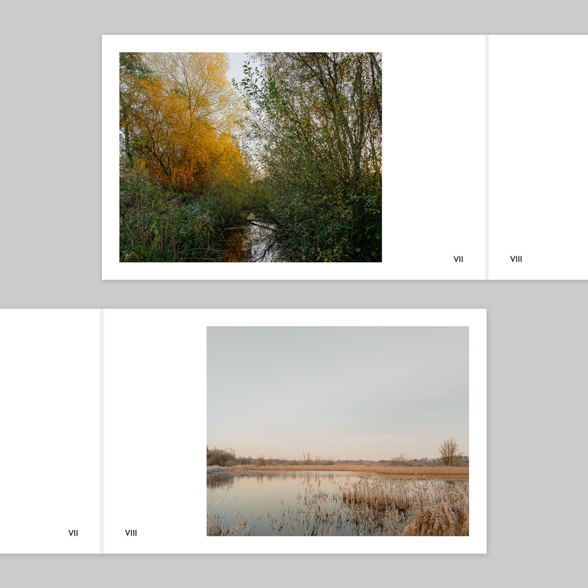 Volume 135 – Ian Gabaldoni - Image 5