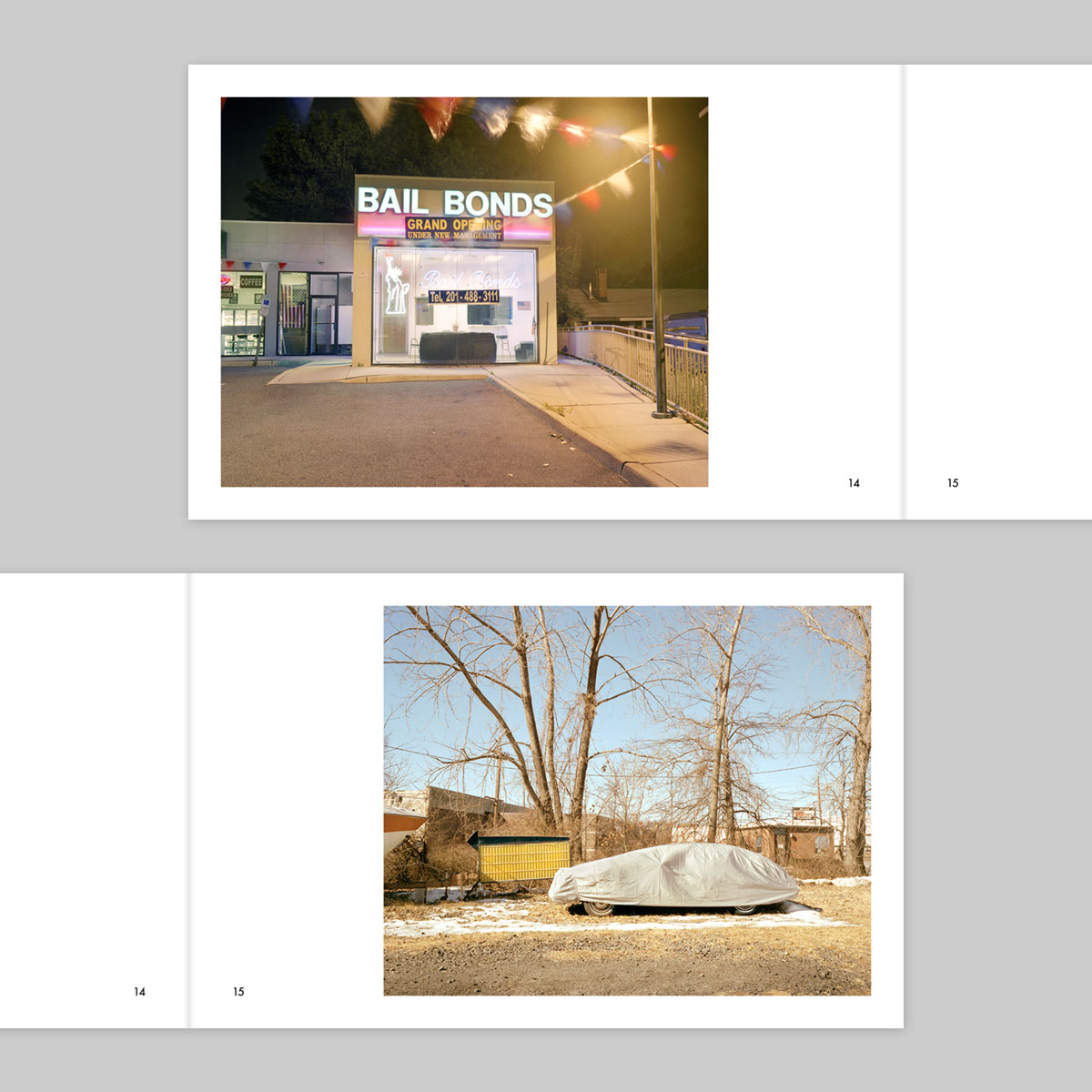 Issue 39 – Robert Pallesen - Image 9