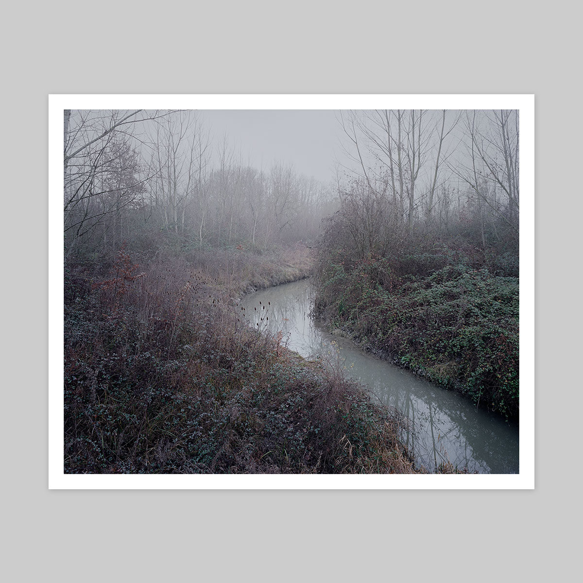Dean Marsh Print + Everything Is Narrative Book