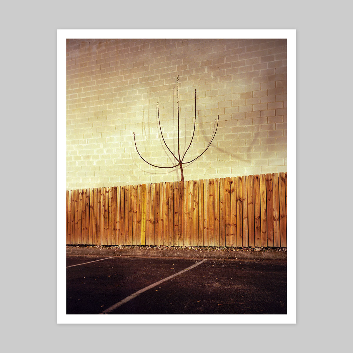 Derek Vincent Print + Everything Is Narrative Book