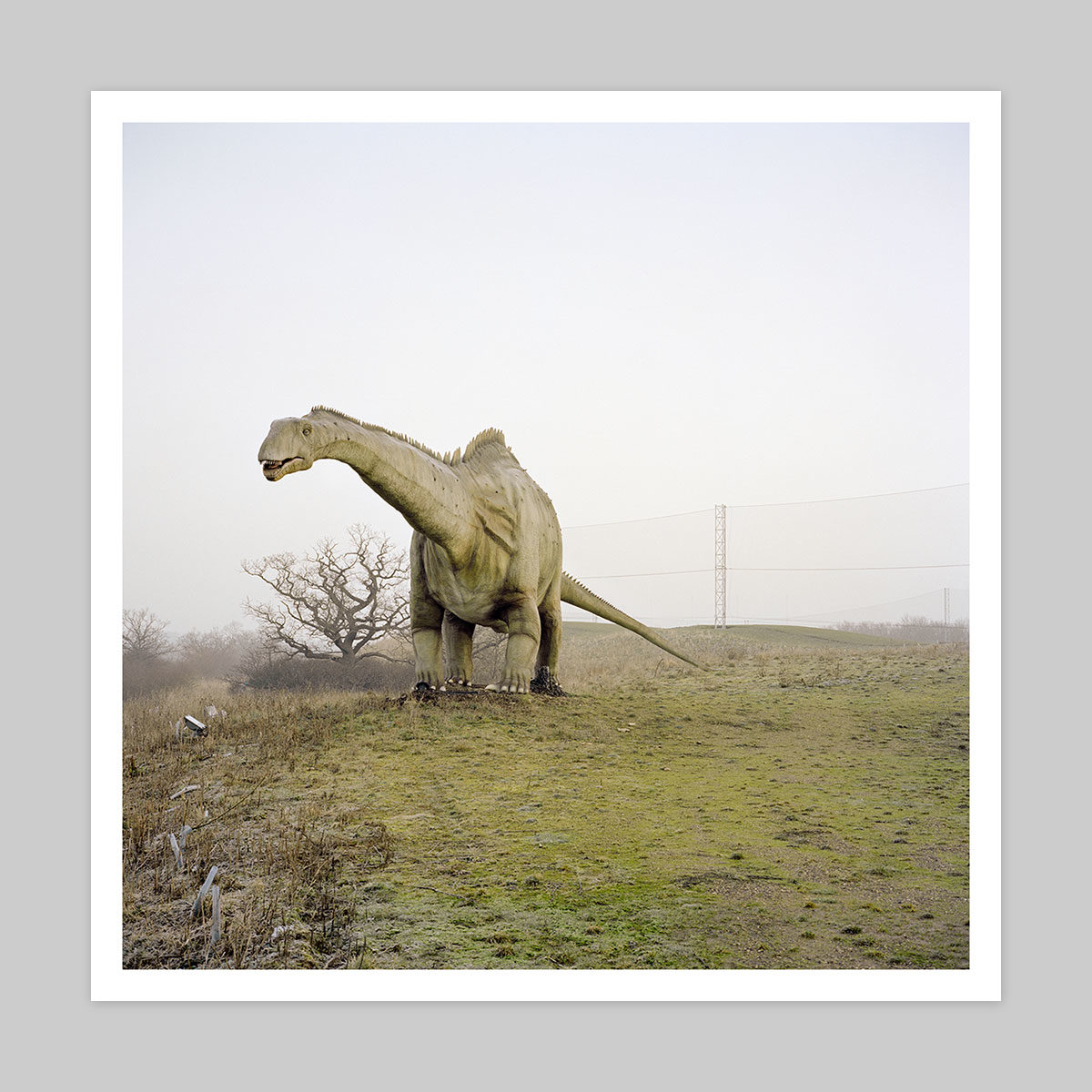 Simon Martin Print + Everything Is Narrative Book