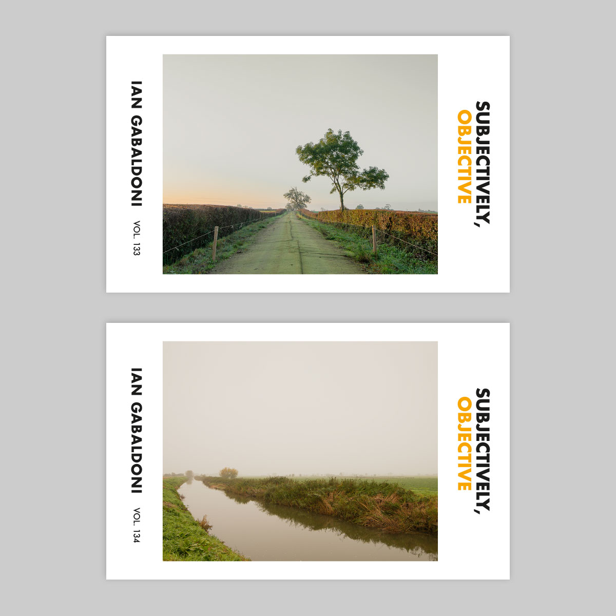 Mini Monograph Series Yearly Subscription - Image 7