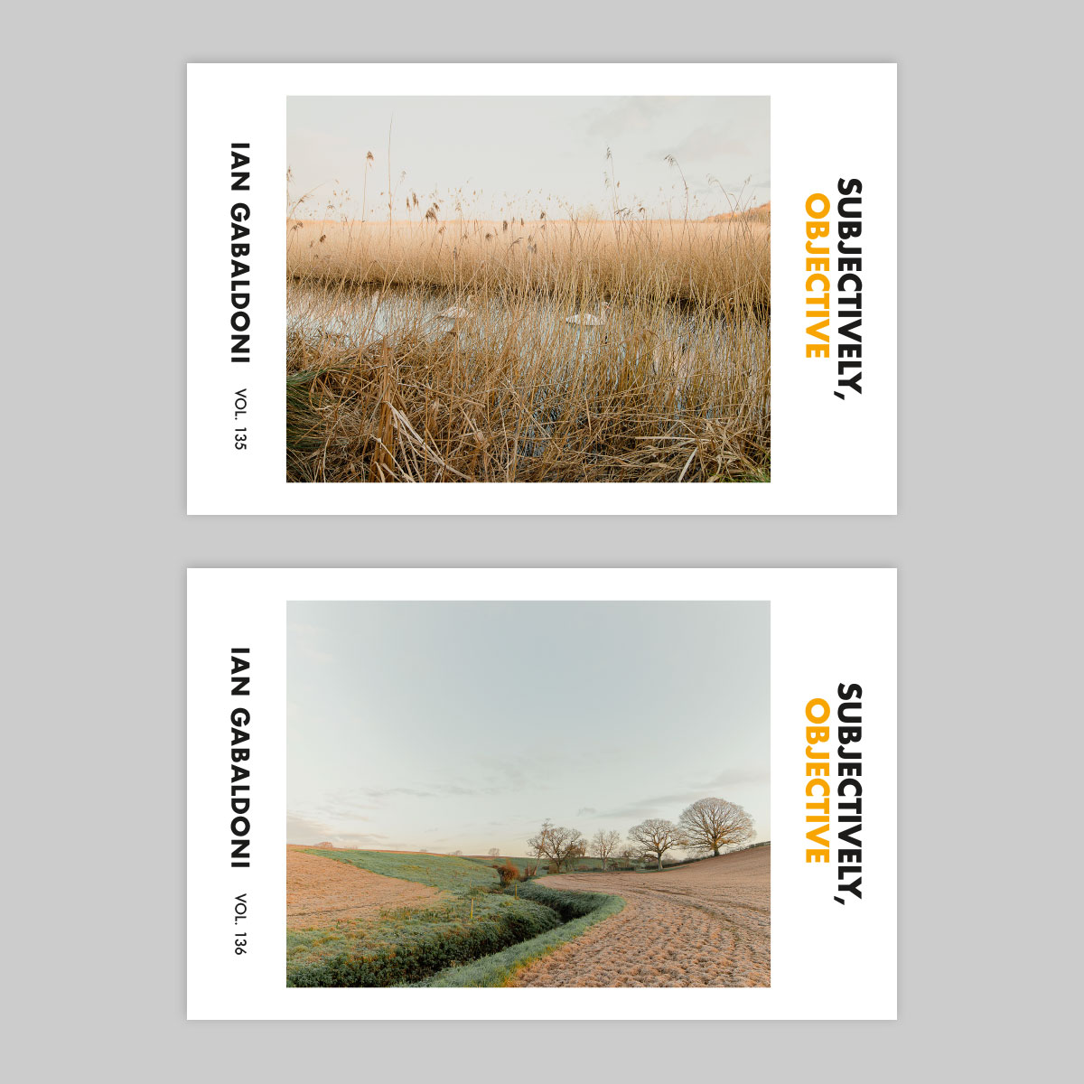 Mini Monograph Series Yearly Subscription - Image 6