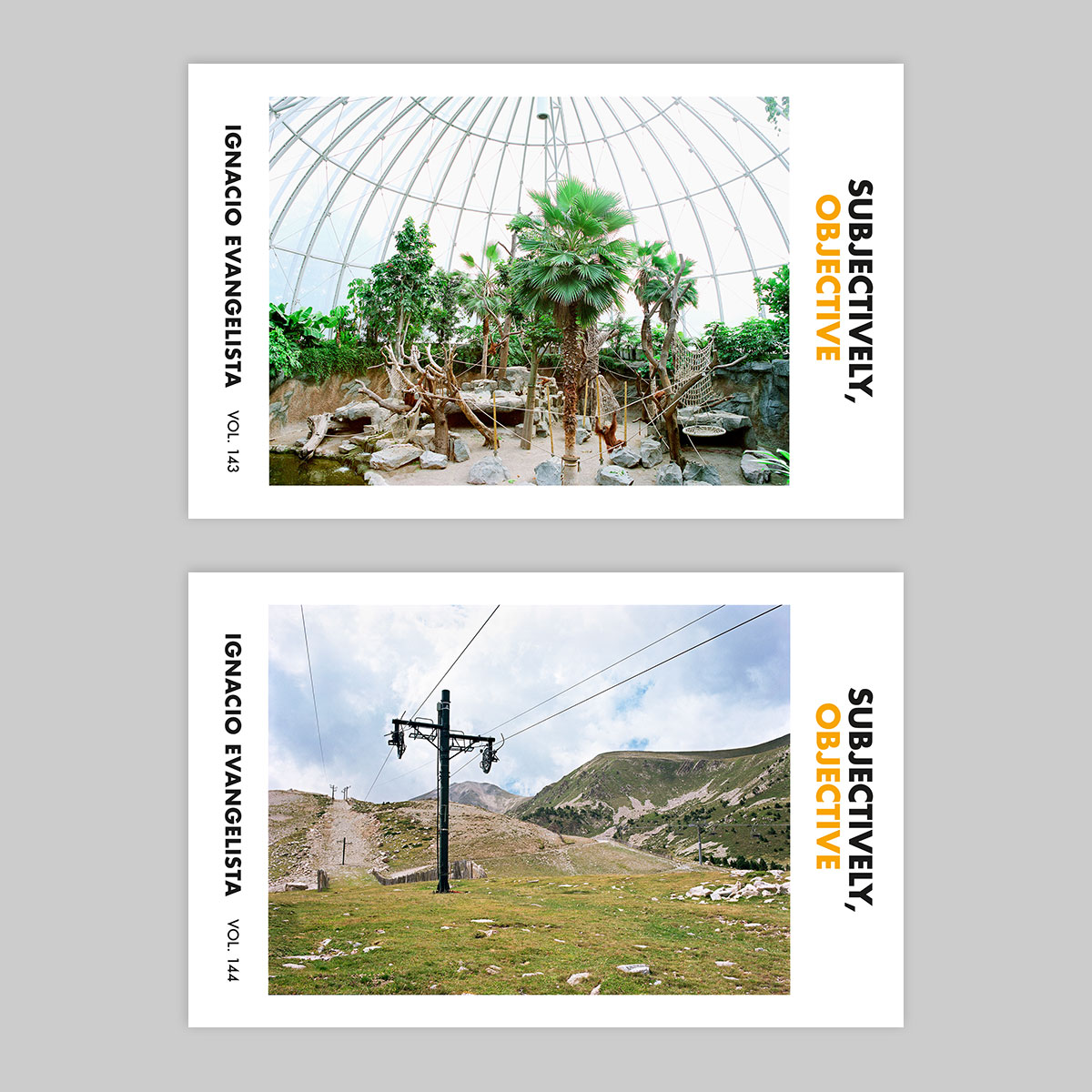 Mini Monograph Series Yearly Subscription - Image 2