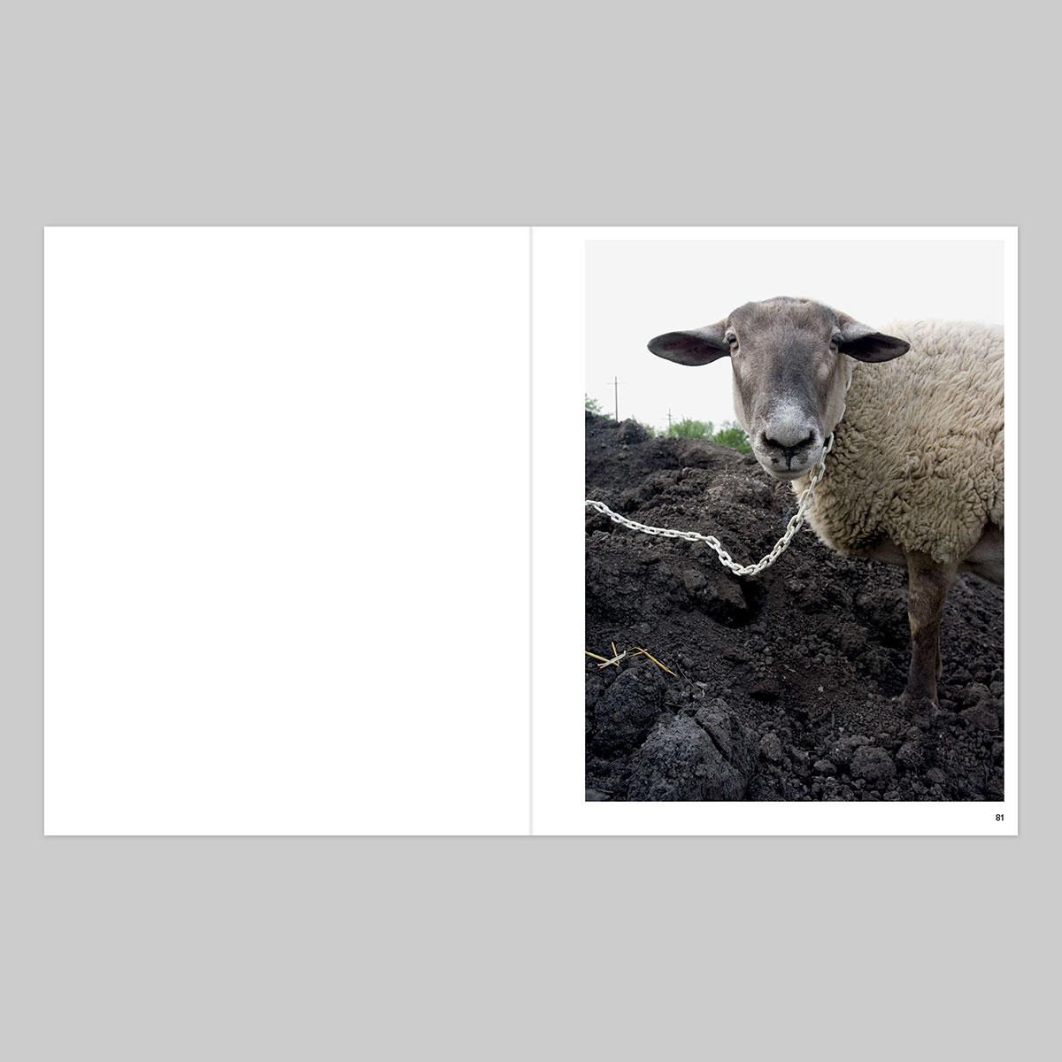 Corine Vermeulen - Your Town Tomorrow - Image 42