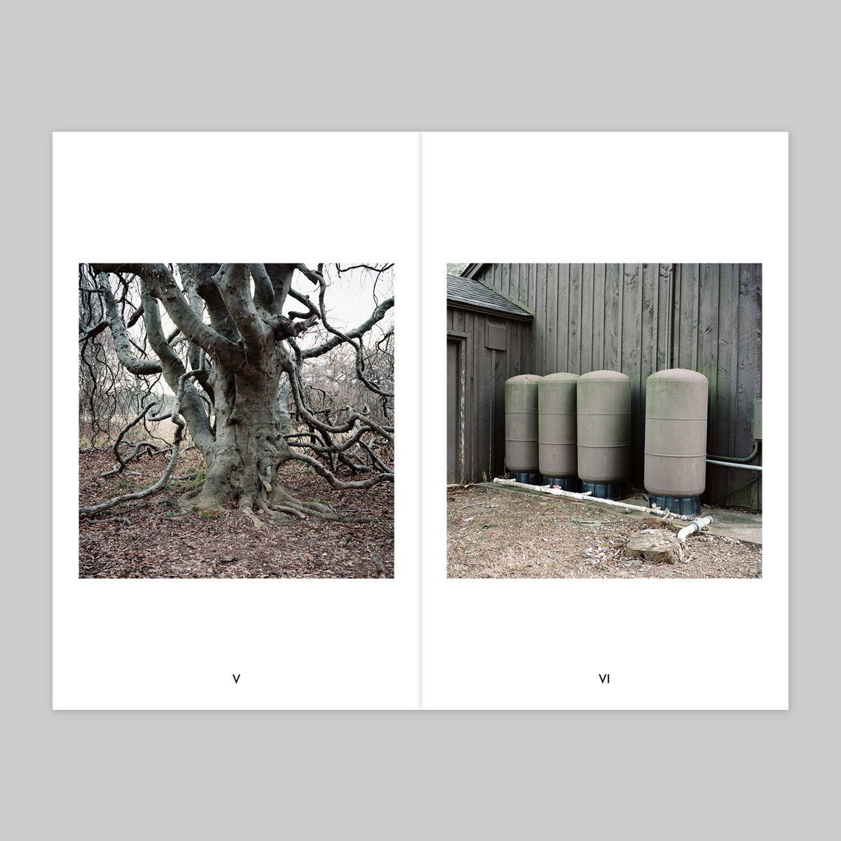 Volume 112 – Neal Johnson - Image 4