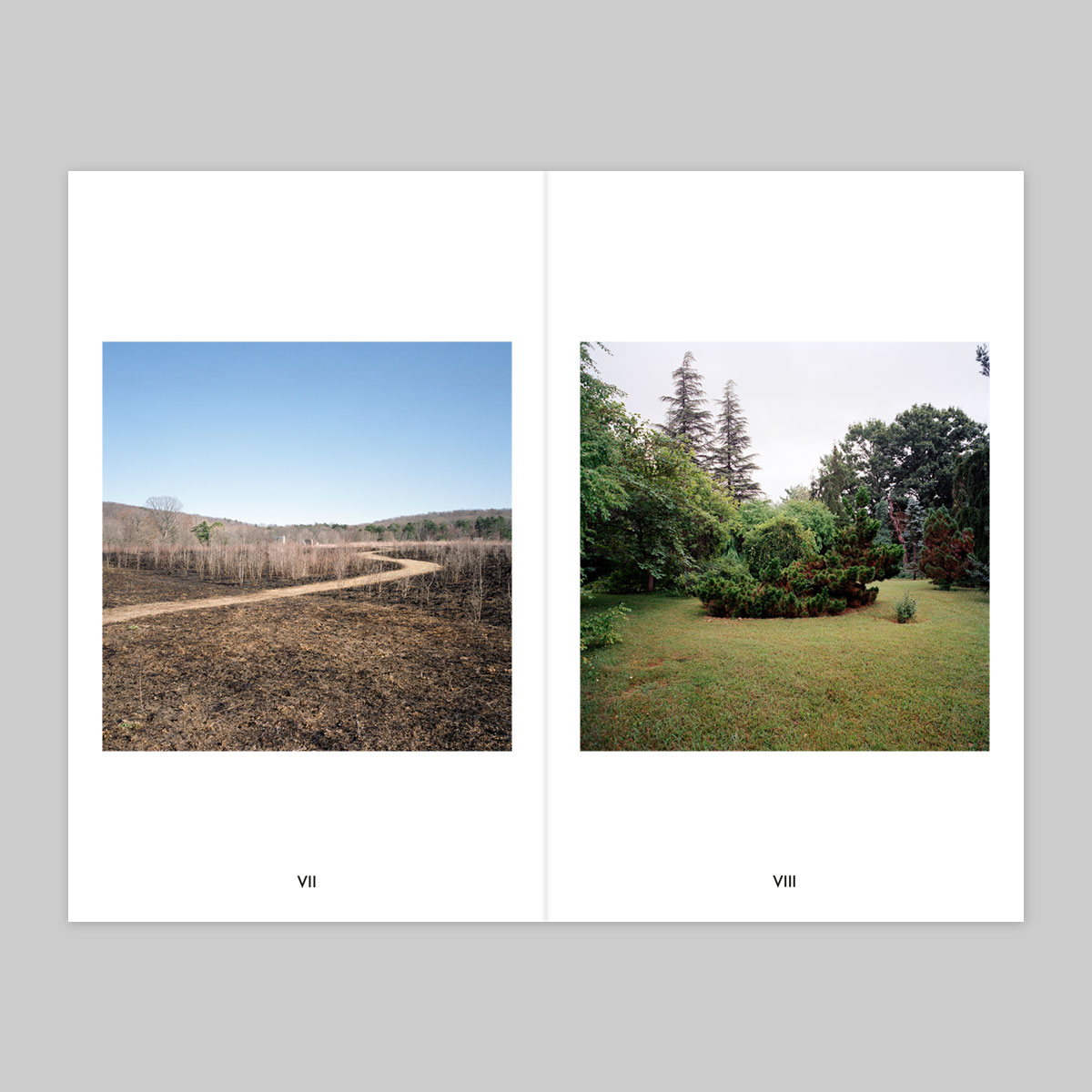 Volume 112 – Neal Johnson - Image 5