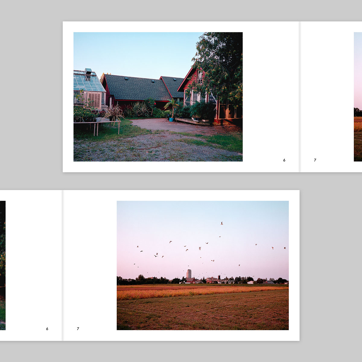 Issue 38 – Joe Kearnan - Image 5