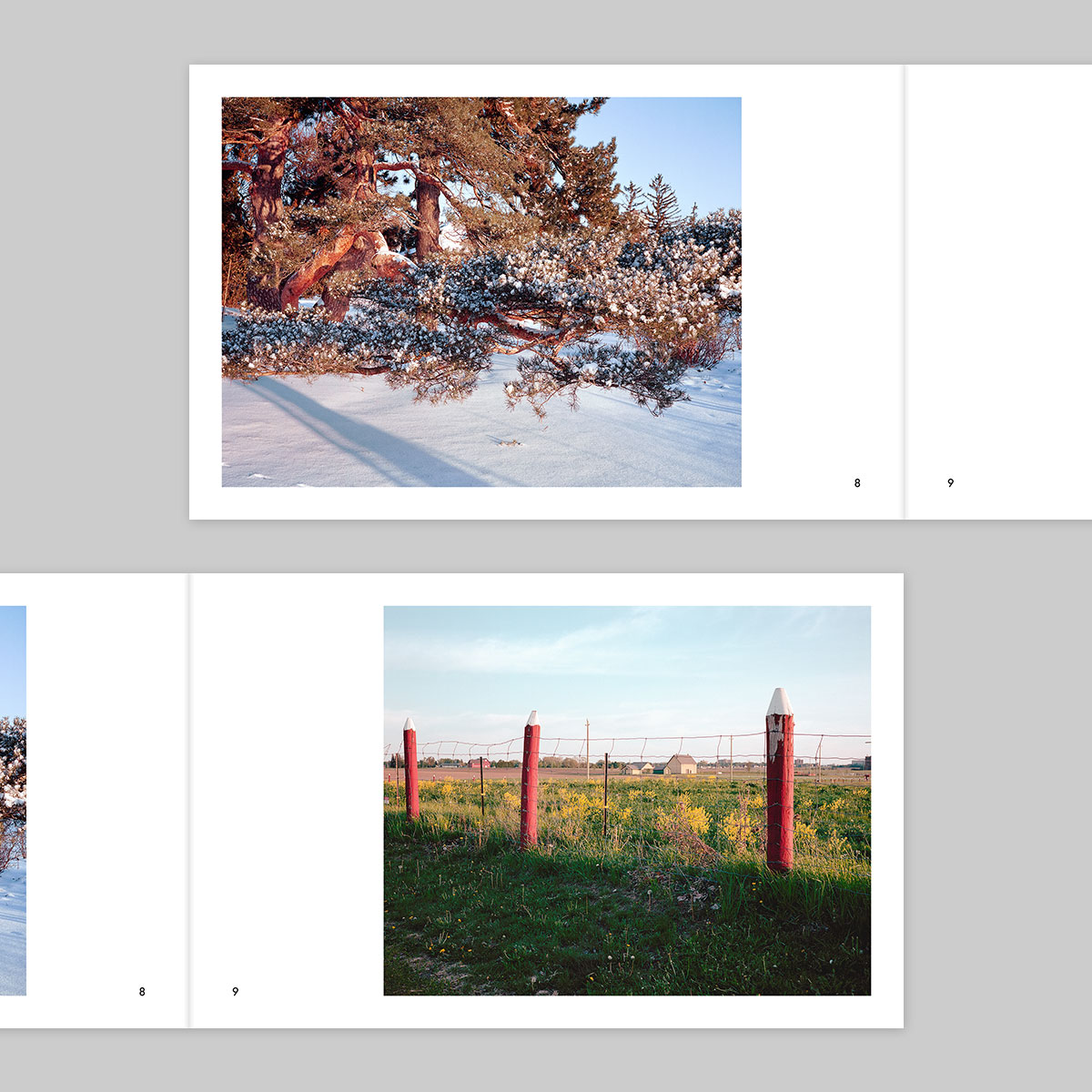 Issue 38 – Joe Kearnan - Image 6