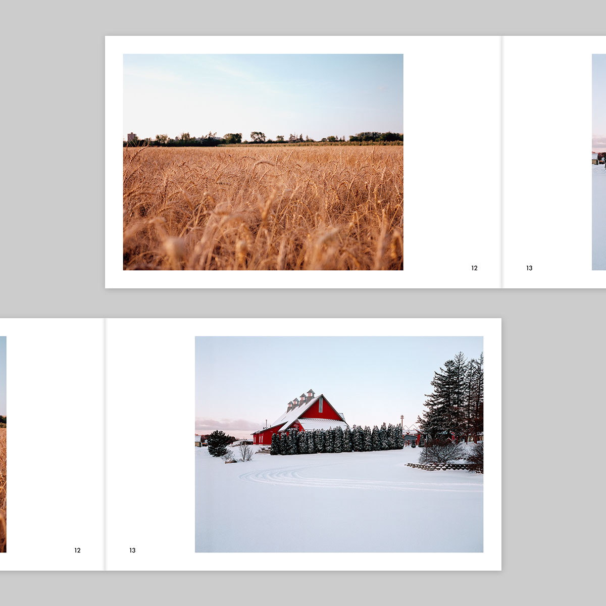 Issue 38 – Joe Kearnan - Image 8