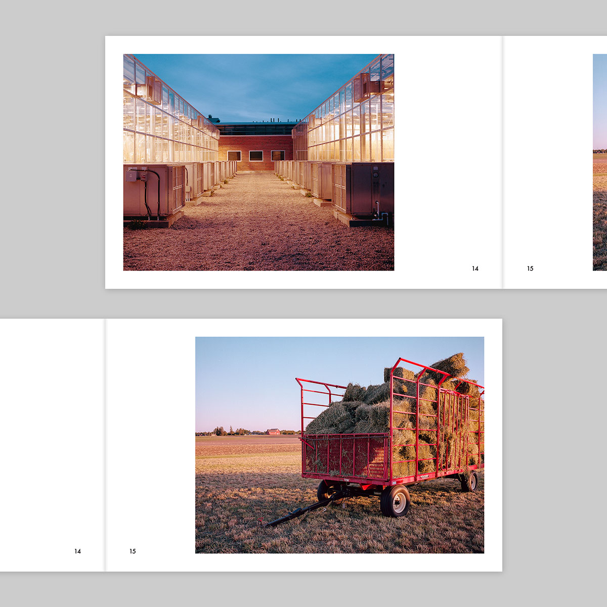 Issue 38 – Joe Kearnan - Image 9