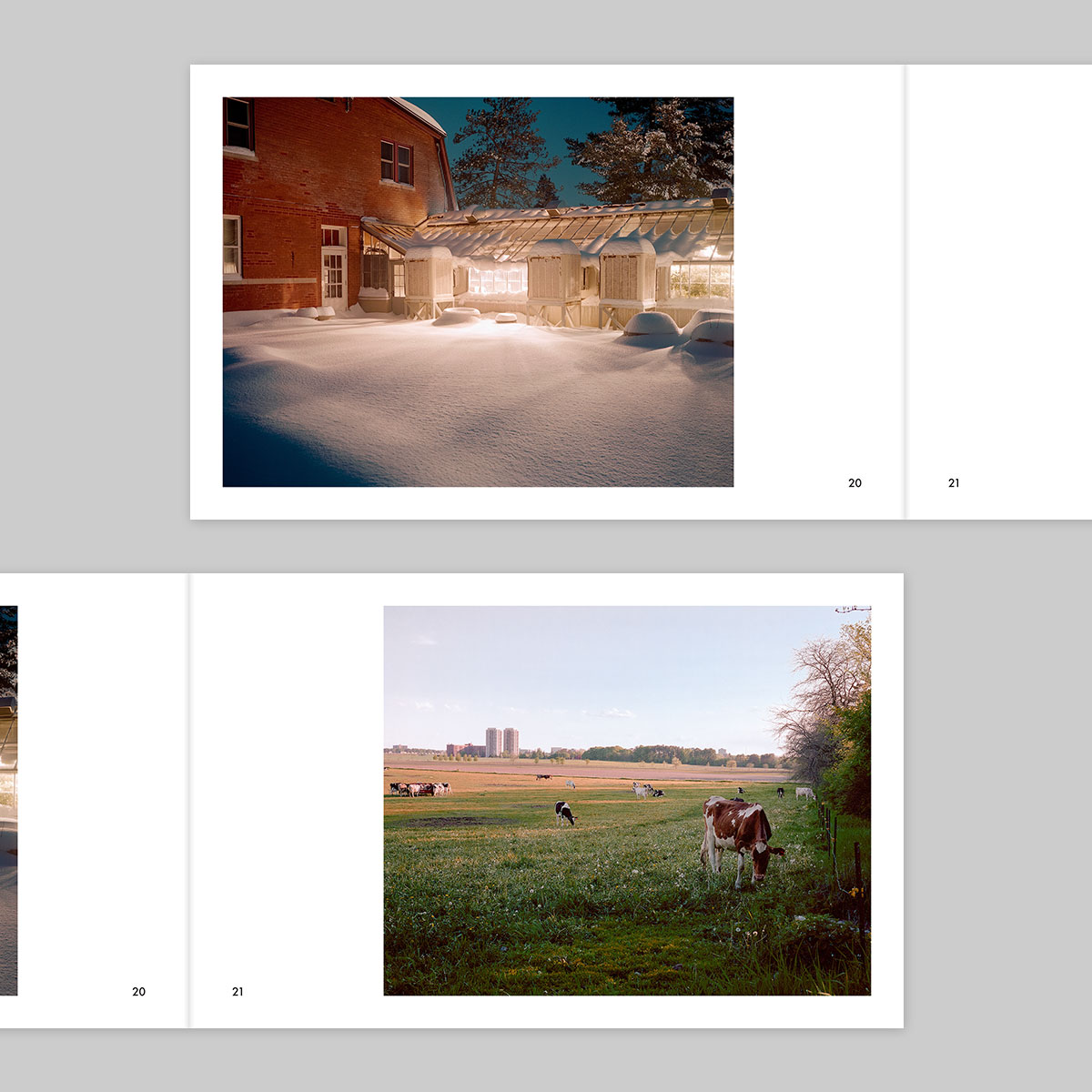 Issue 38 – Joe Kearnan - Image 12