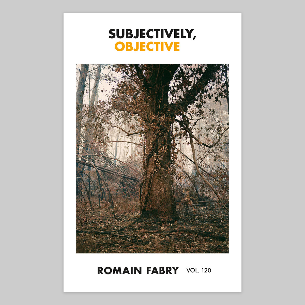 Volume 120 – Romain Fabry