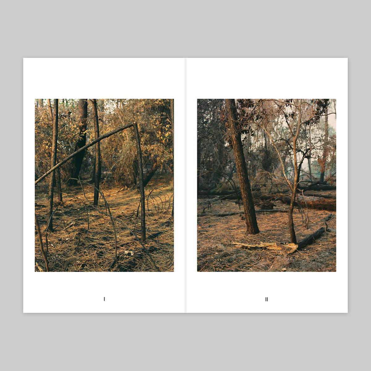 Volume 120 – Romain Fabry - Image 2