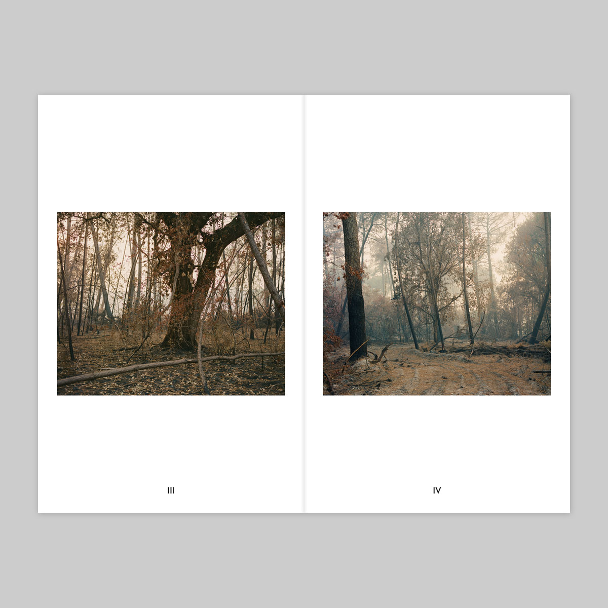 Volume 120 – Romain Fabry - Image 3
