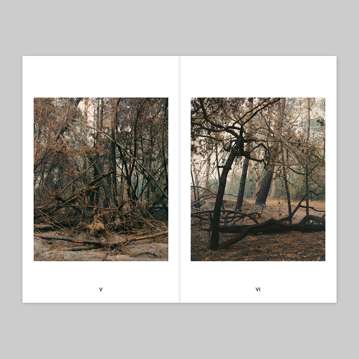 Volume 120 – Romain Fabry - Image 4