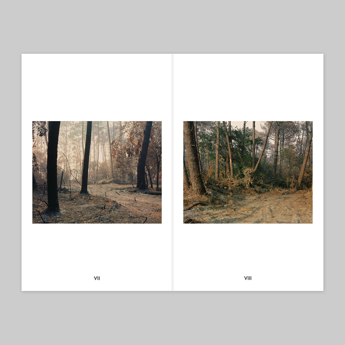 Volume 120 – Romain Fabry - Image 5