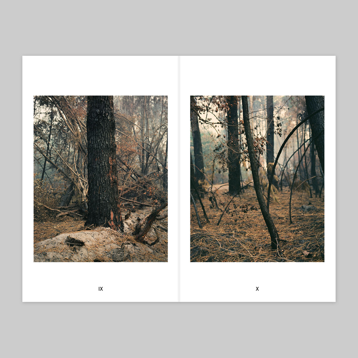 Volume 120 – Romain Fabry - Image 6