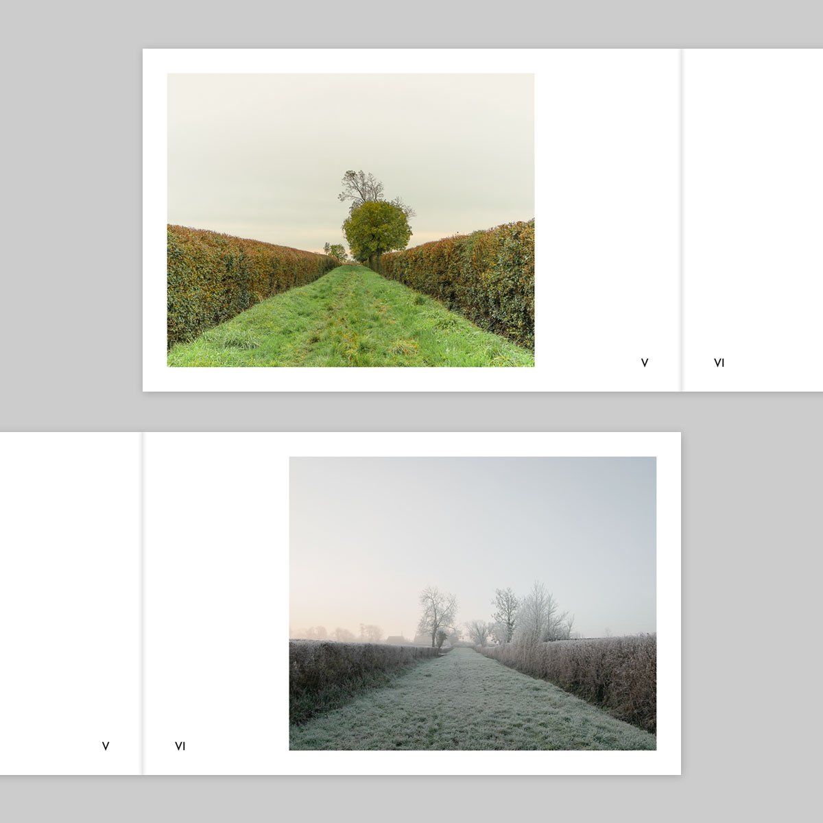 Volume 133 – Ian Gabaldoni - Image 4