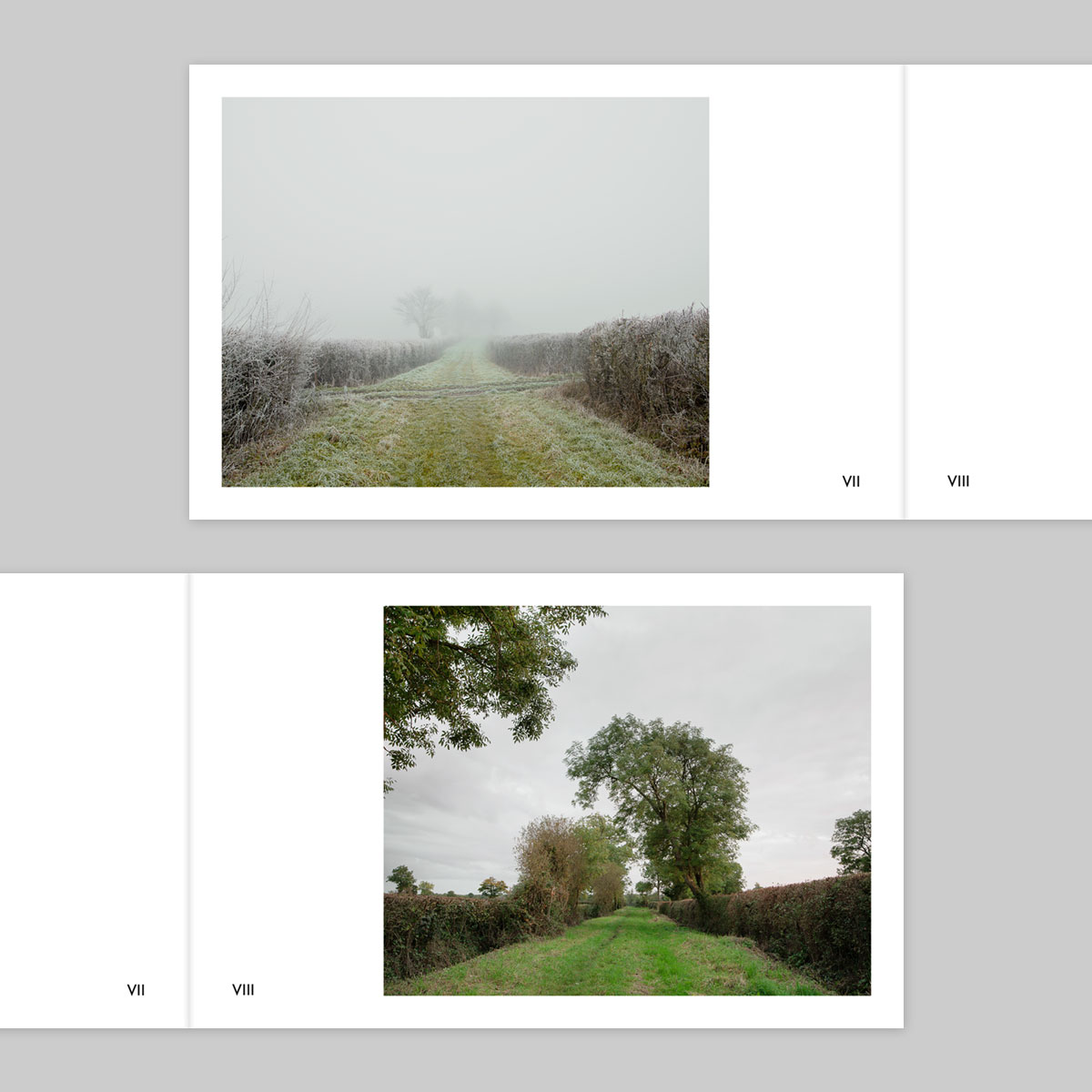 Volume 133 – Ian Gabaldoni - Image 5