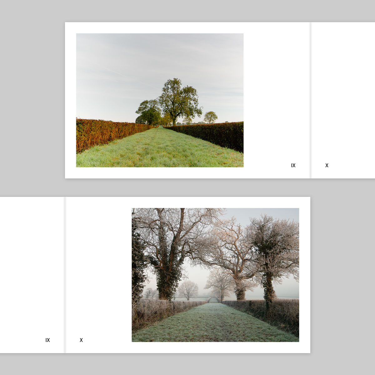 Volume 133 – Ian Gabaldoni - Image 6