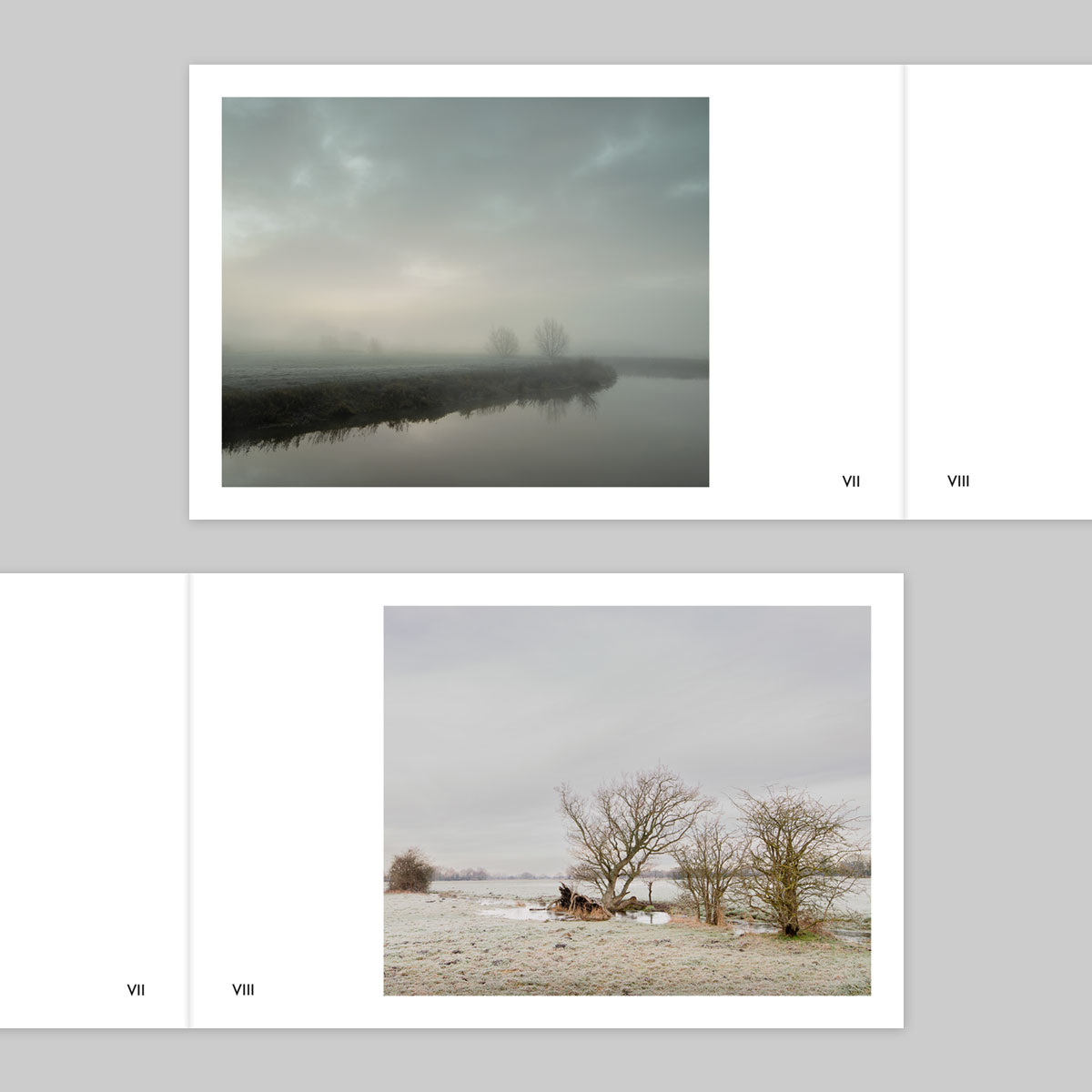 Volume 134 – Ian Gabaldoni - Image 4