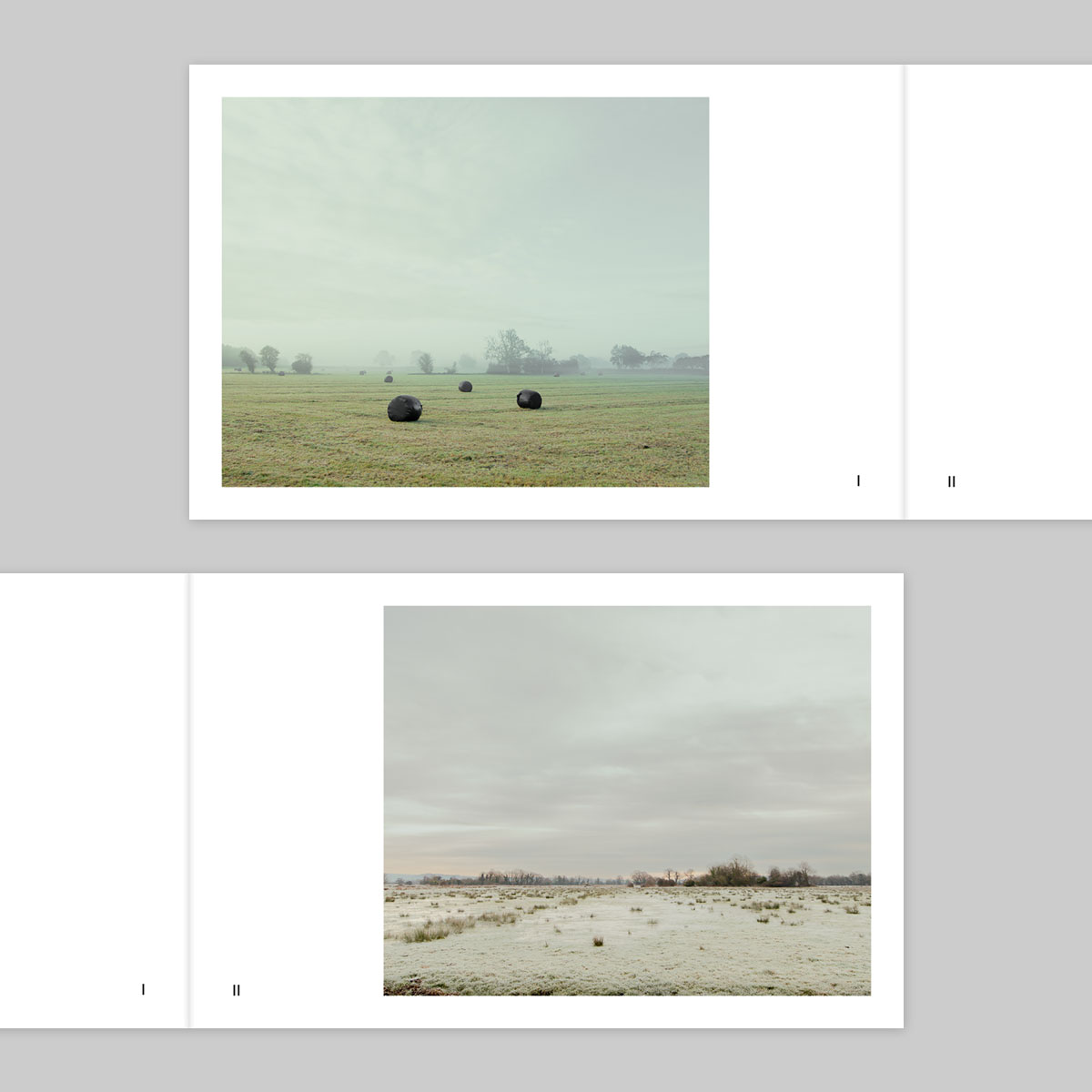 Volume 136 – Ian Gabaldoni - Image 2