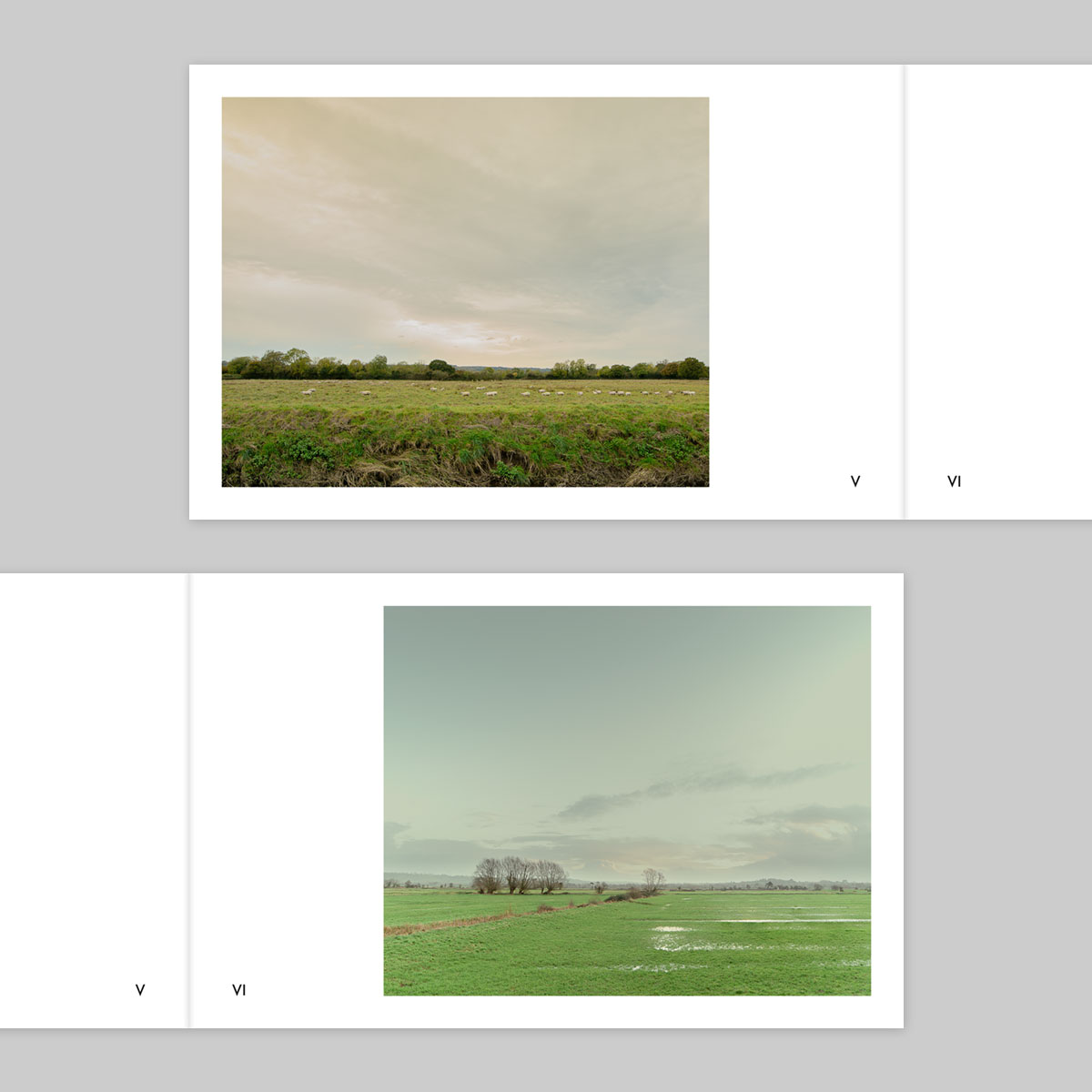 Volume 136 – Ian Gabaldoni - Image 4