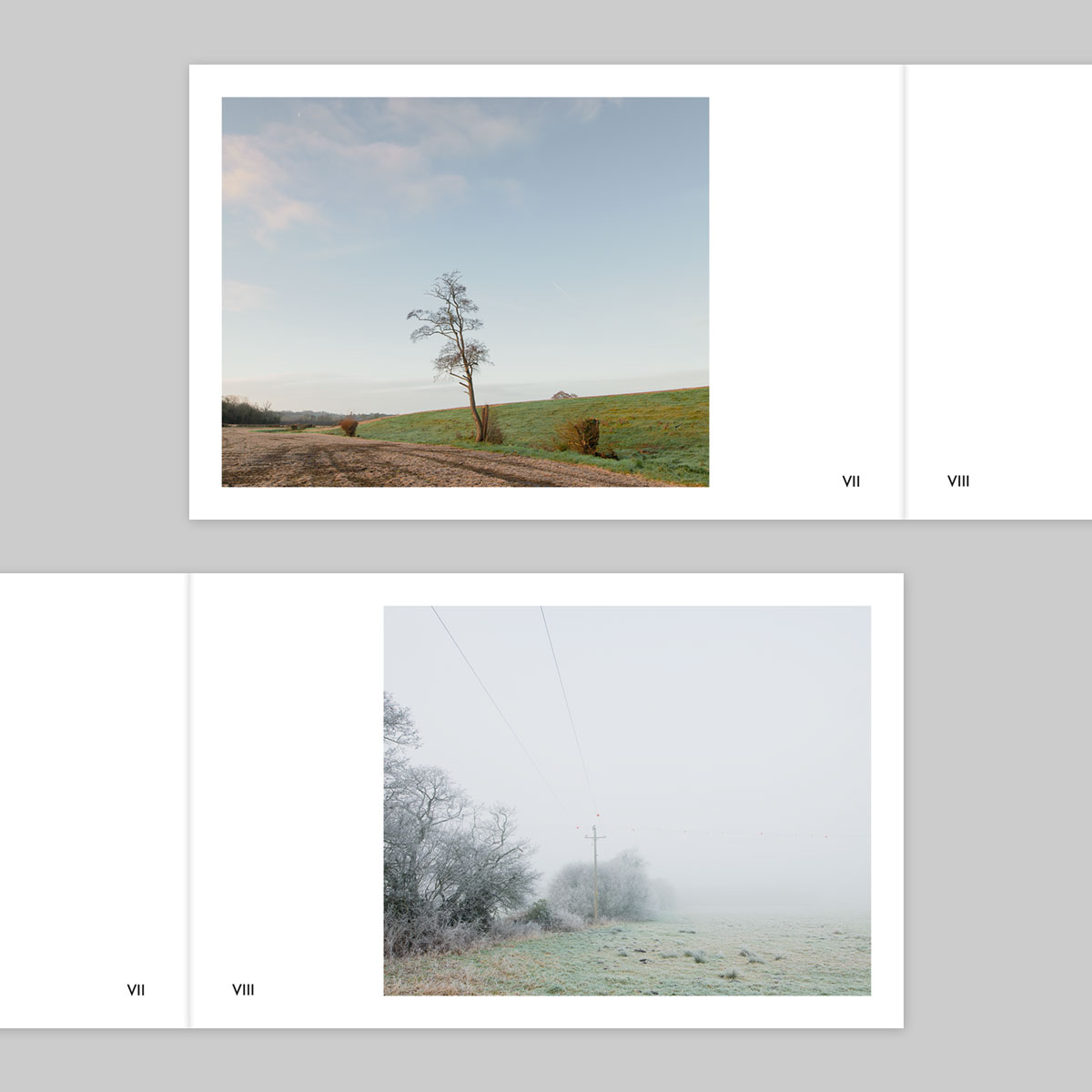 Volume 136 – Ian Gabaldoni - Image 5
