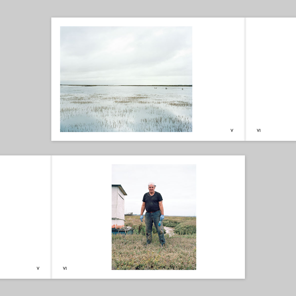 Volume 132 – Tom McGahan - Image 4